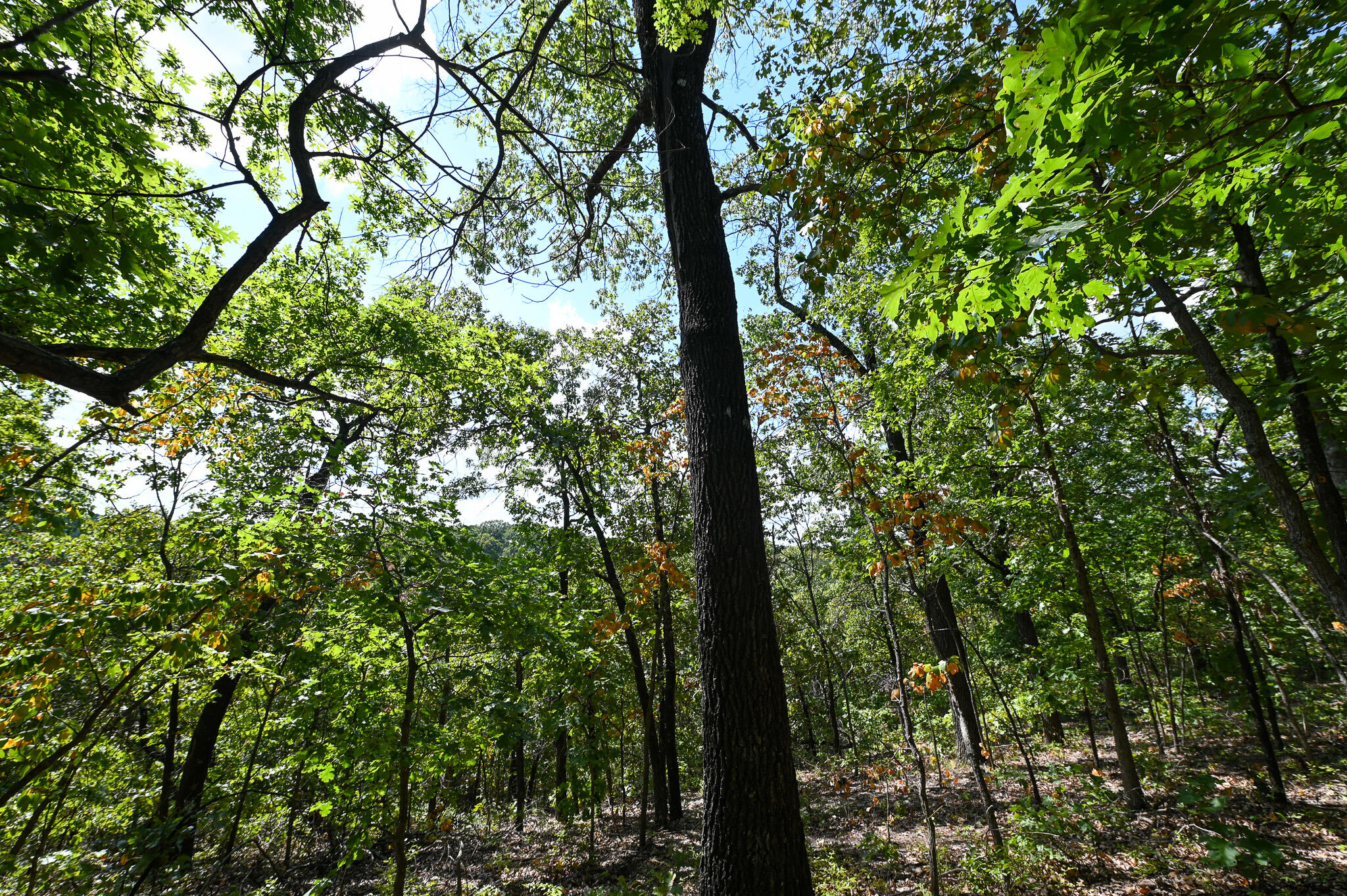 Tbd Gods Little Acre Property Photo 35