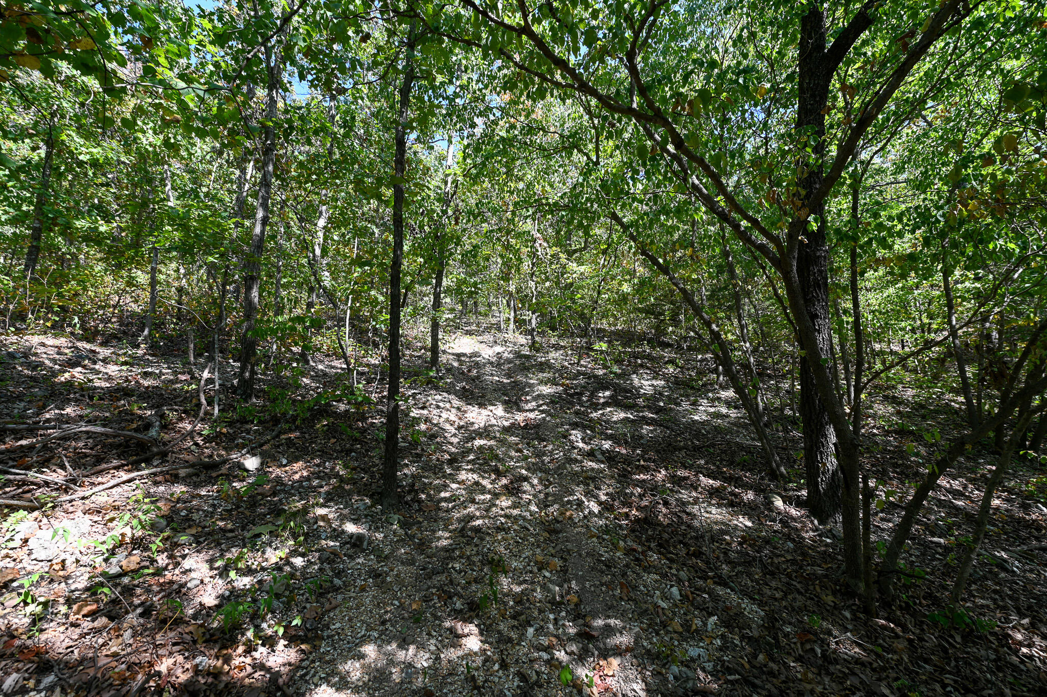 Tbd Gods Little Acre Property Photo 36