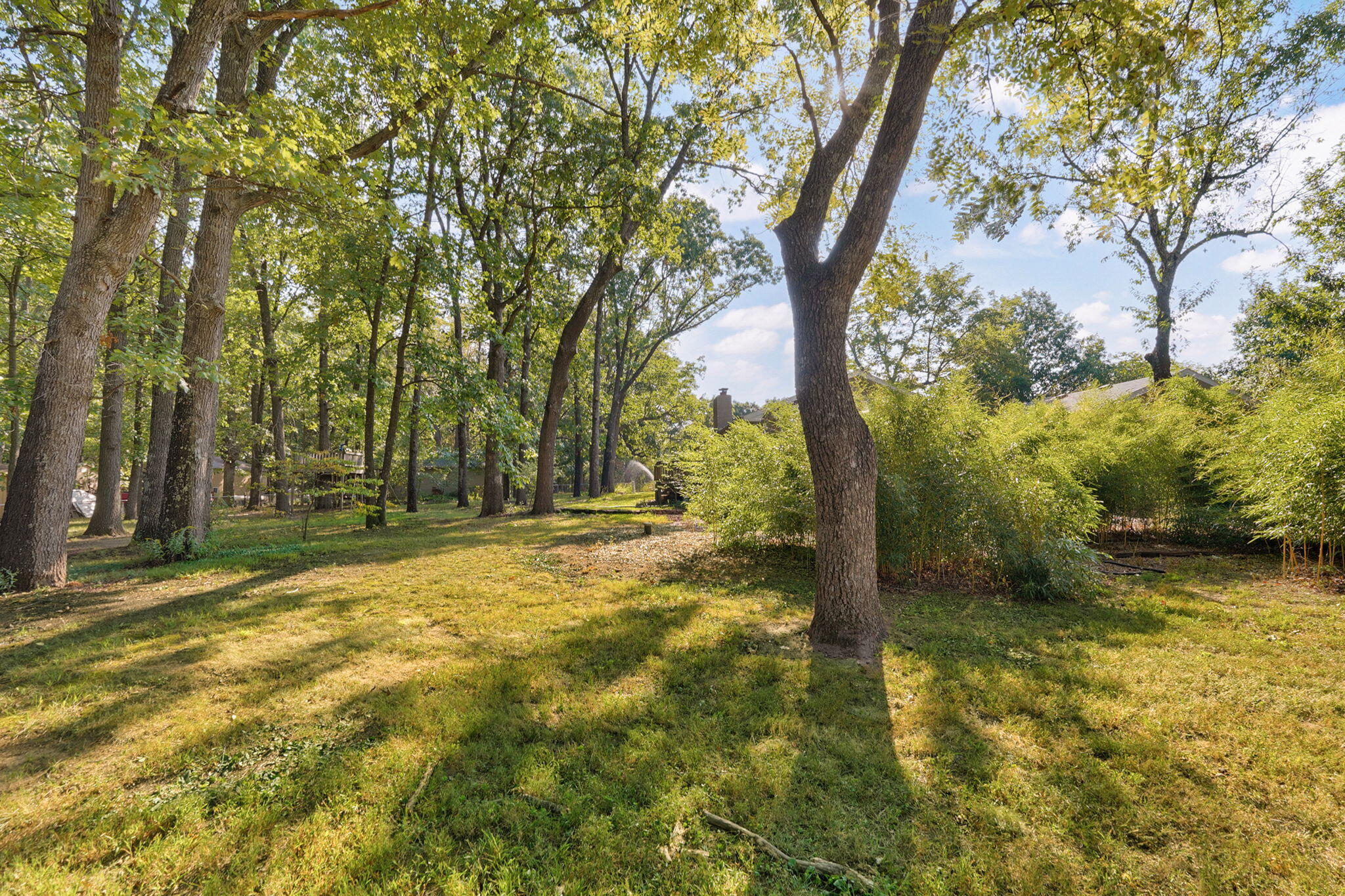 6718 North Farm Road 79 Property Photo 41