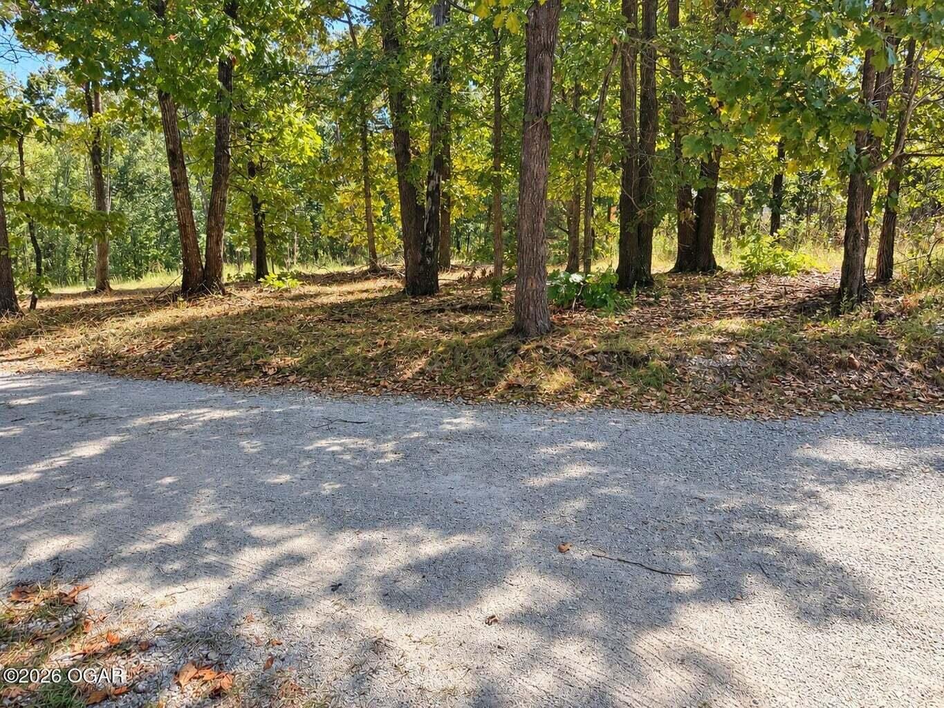 19879 Farm Road 1043 Property Photo 2