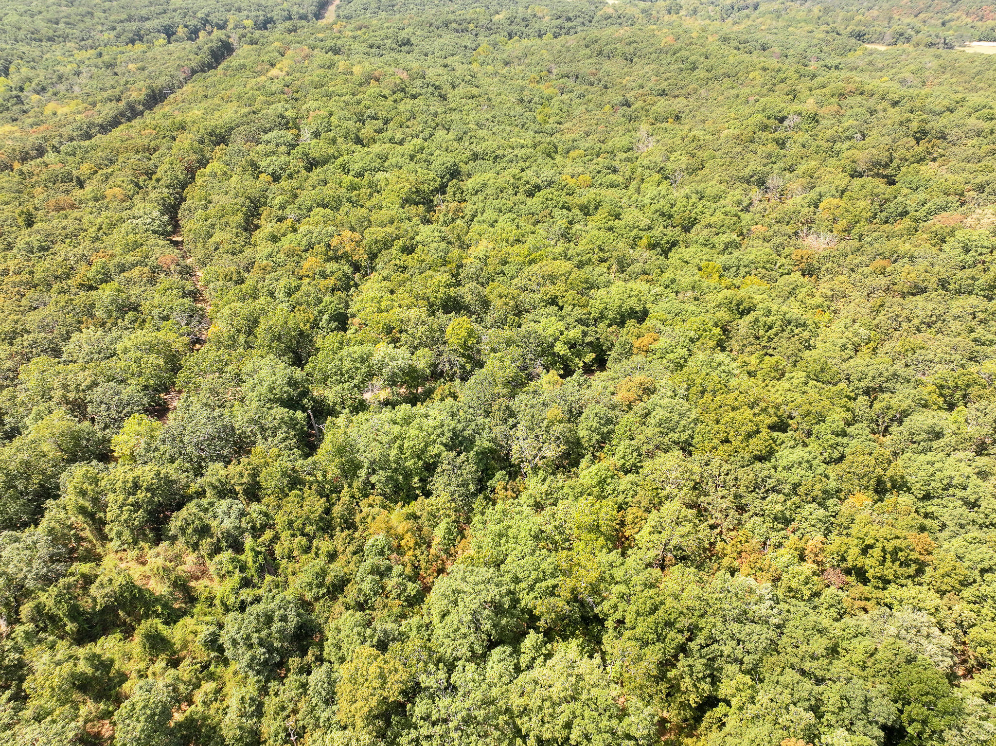 Tbd Anne Drive Property Photo 4