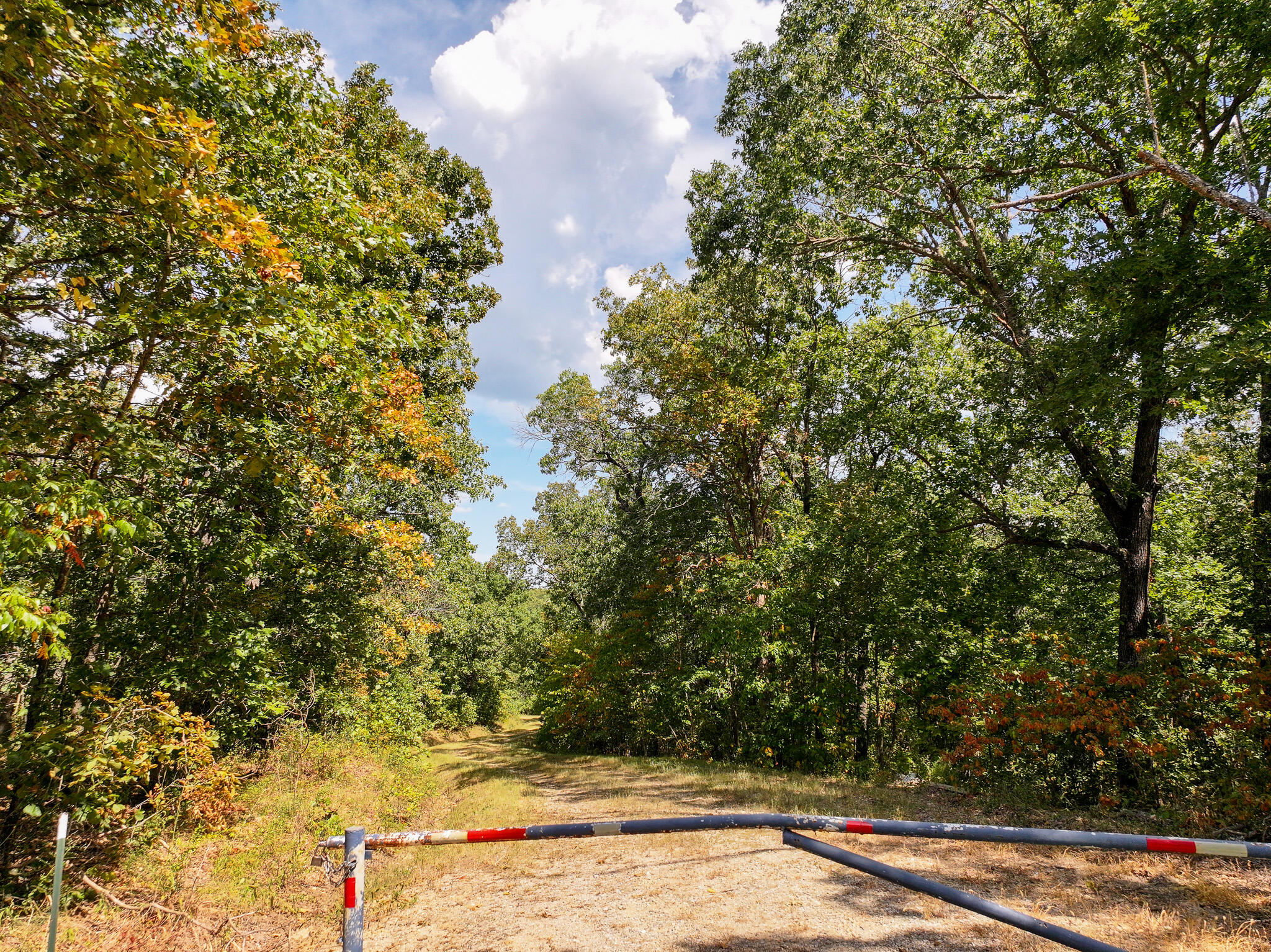 Tbd Anne Drive Property Photo 8