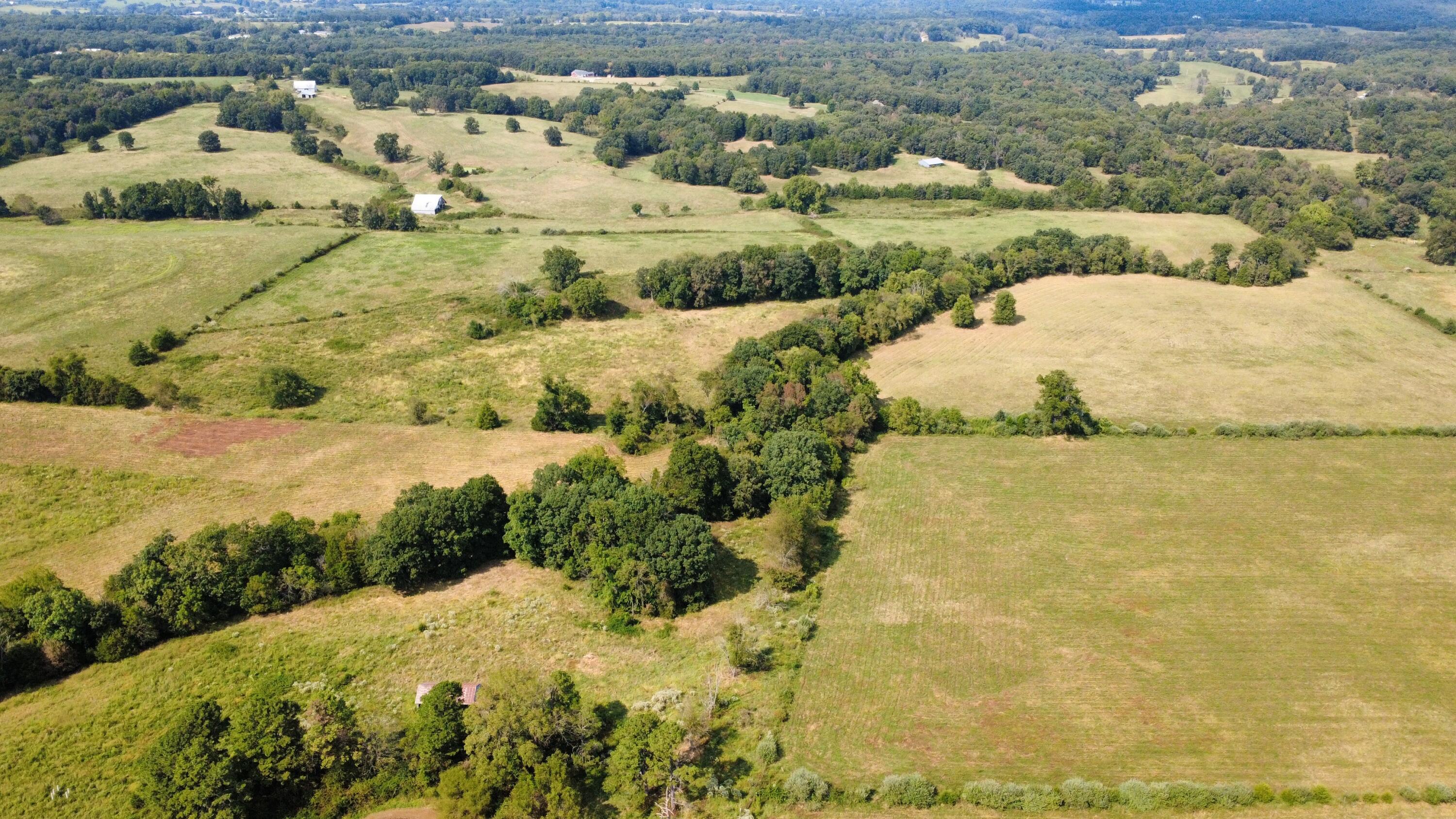 Tbd Co Rd 4040 Property Photo 2