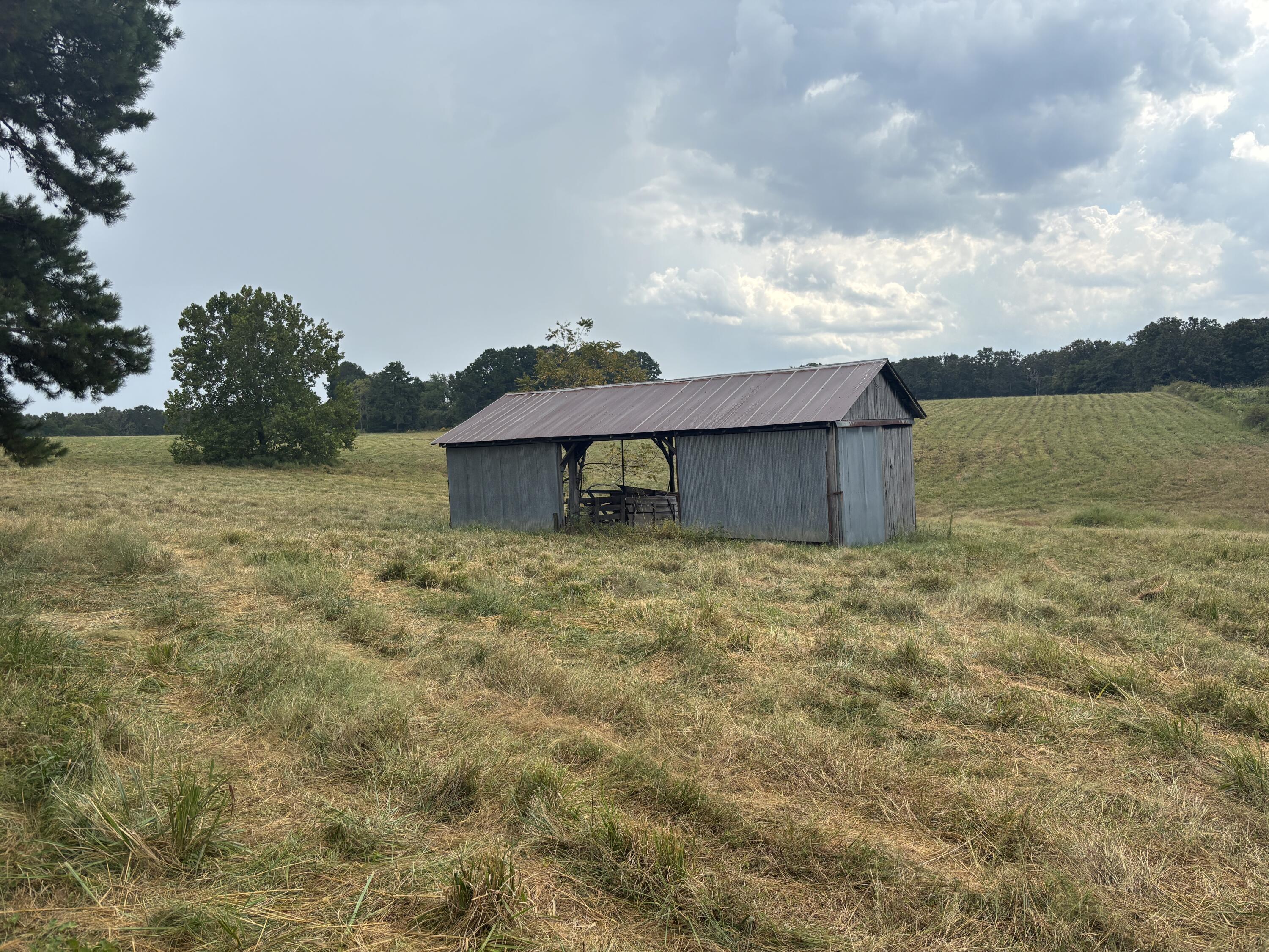 Tbd Co Rd 4040 Property Photo 6
