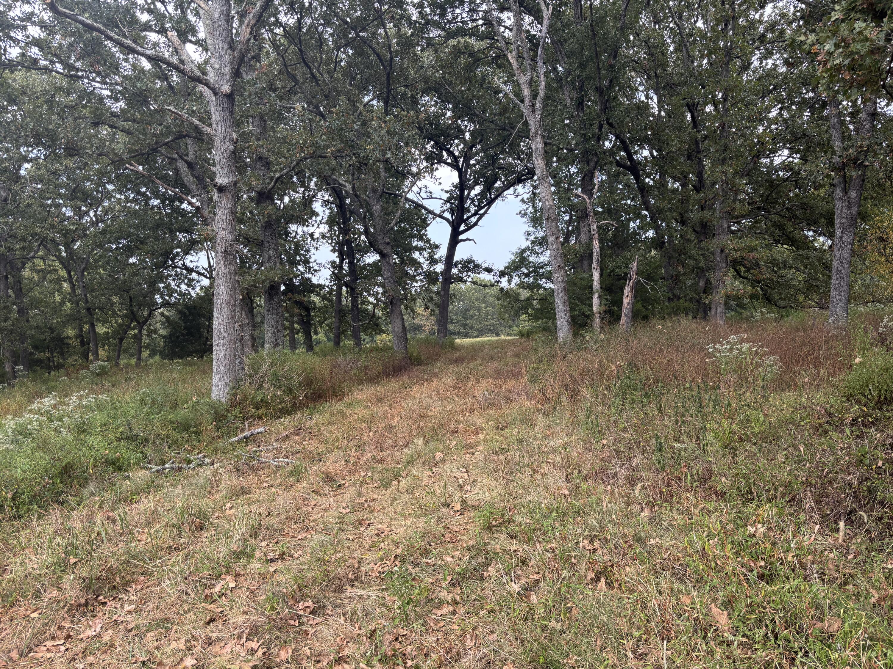 Tbd Co Rd 4040 Property Photo 12
