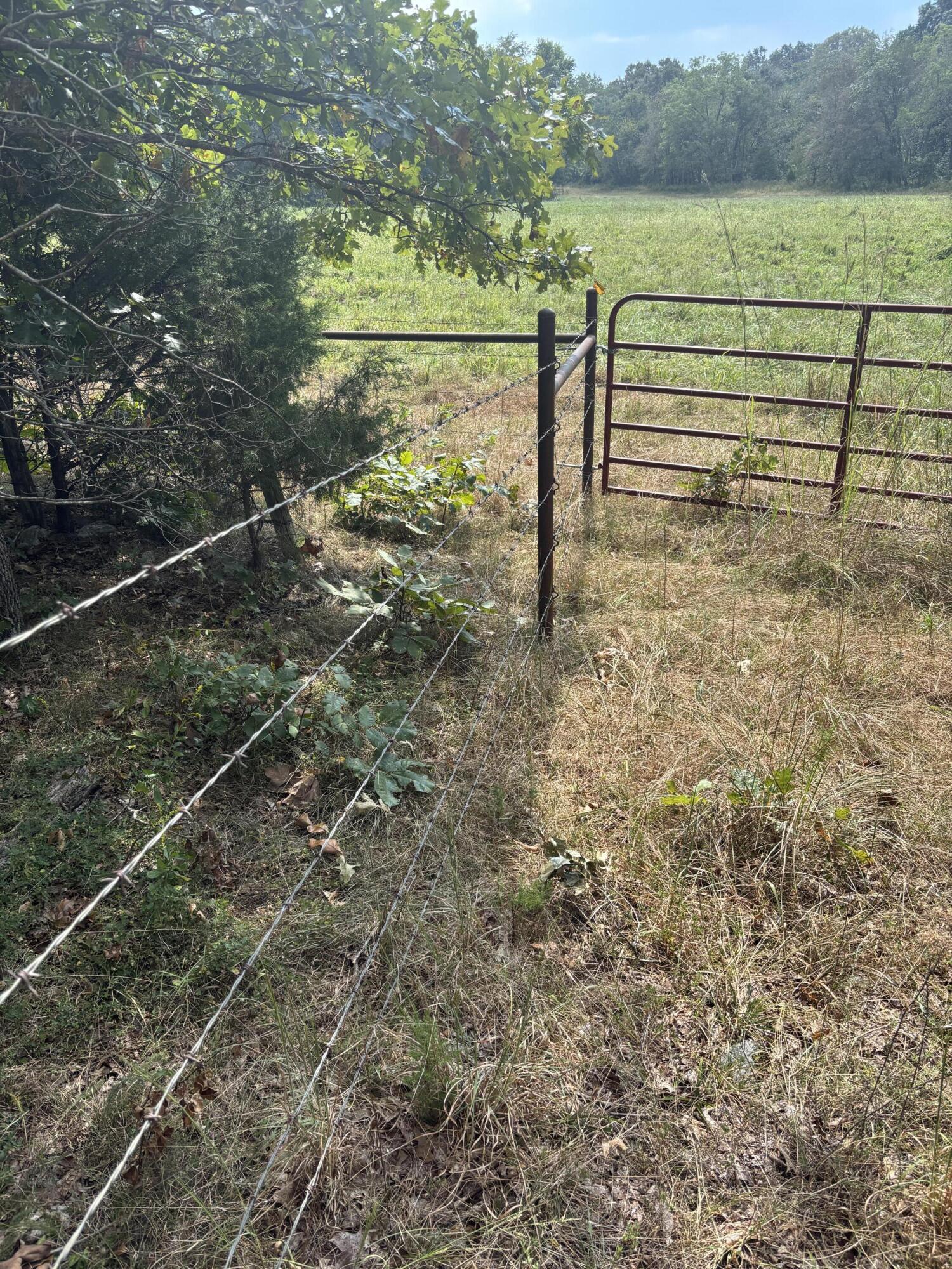 Tbd Co Rd 4040 Property Photo 15