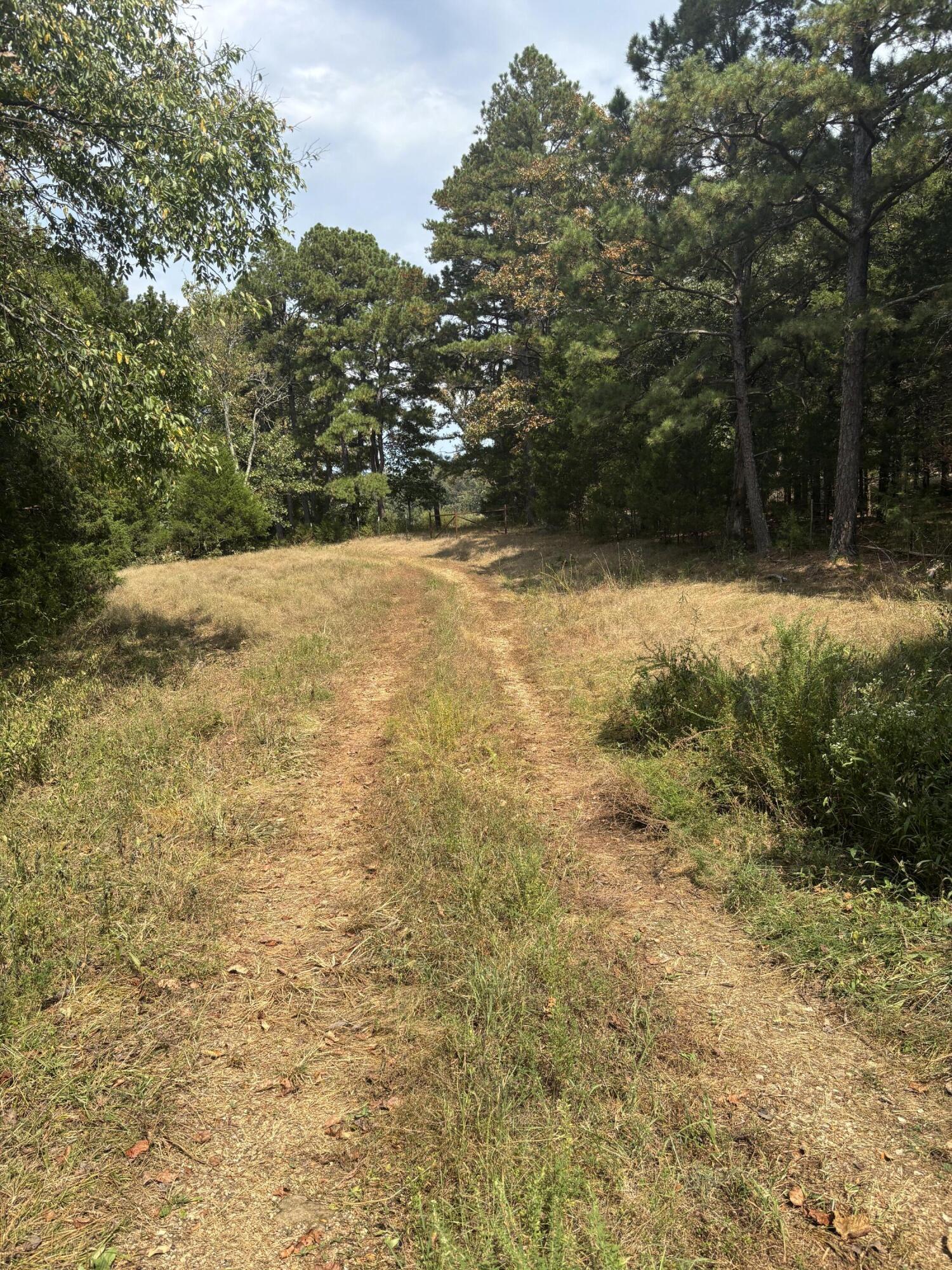 Tbd Co Rd 4040 Property Photo 17