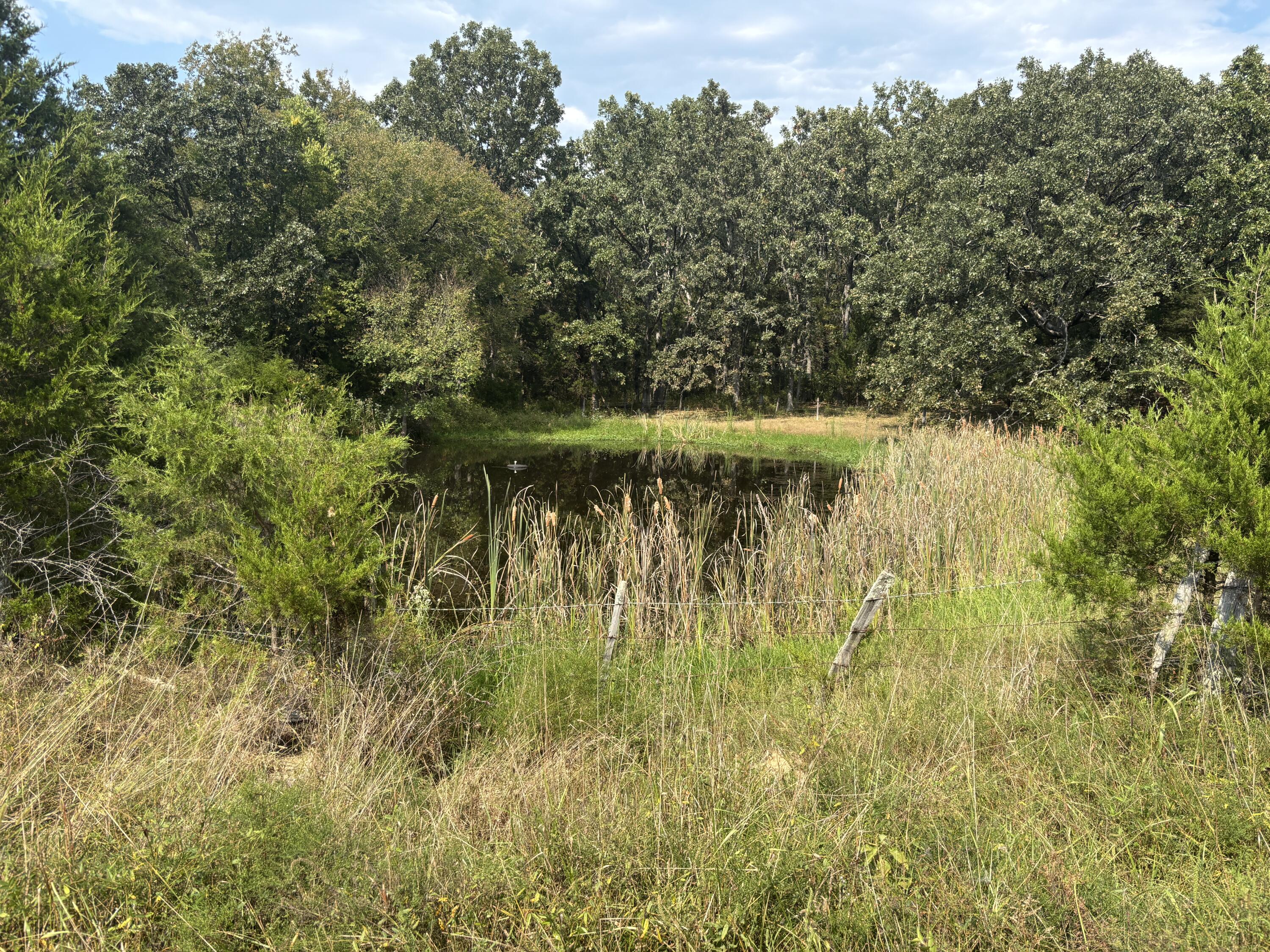 Tbd Co Rd 4040 Property Photo 23