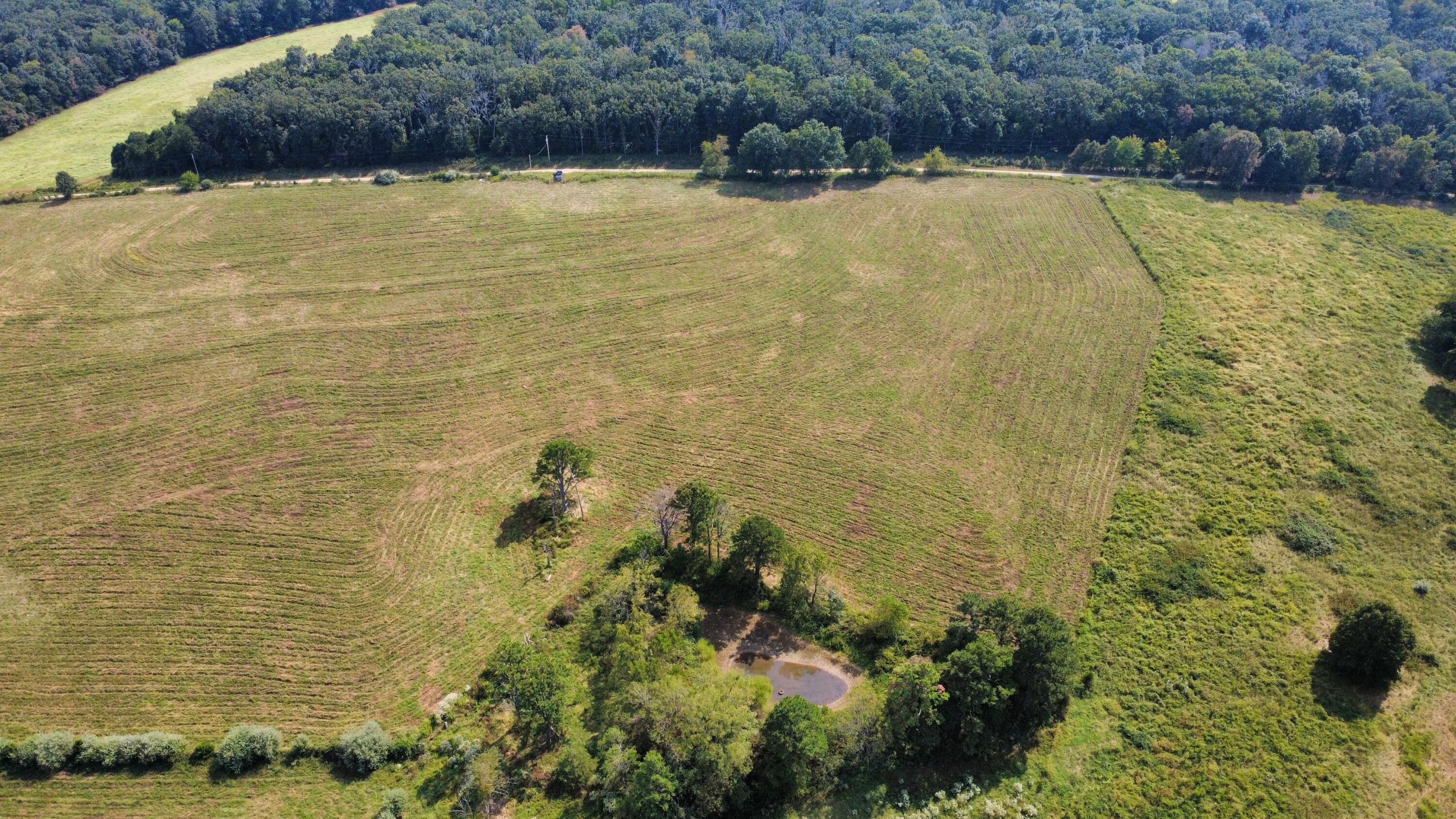 Tbd Co Rd 4040 Property Photo 31