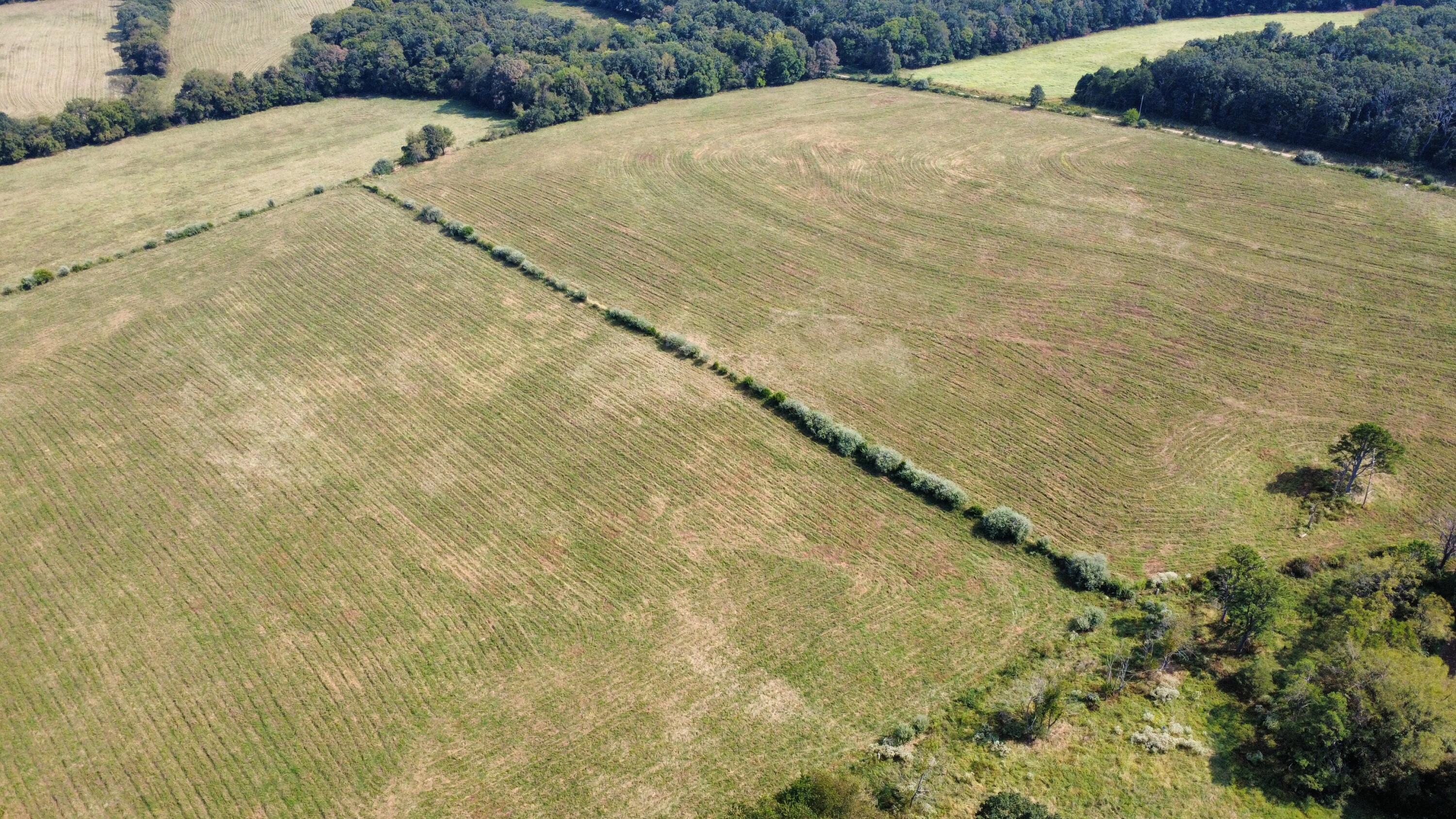 Tbd Co Rd 4040 Property Photo 32