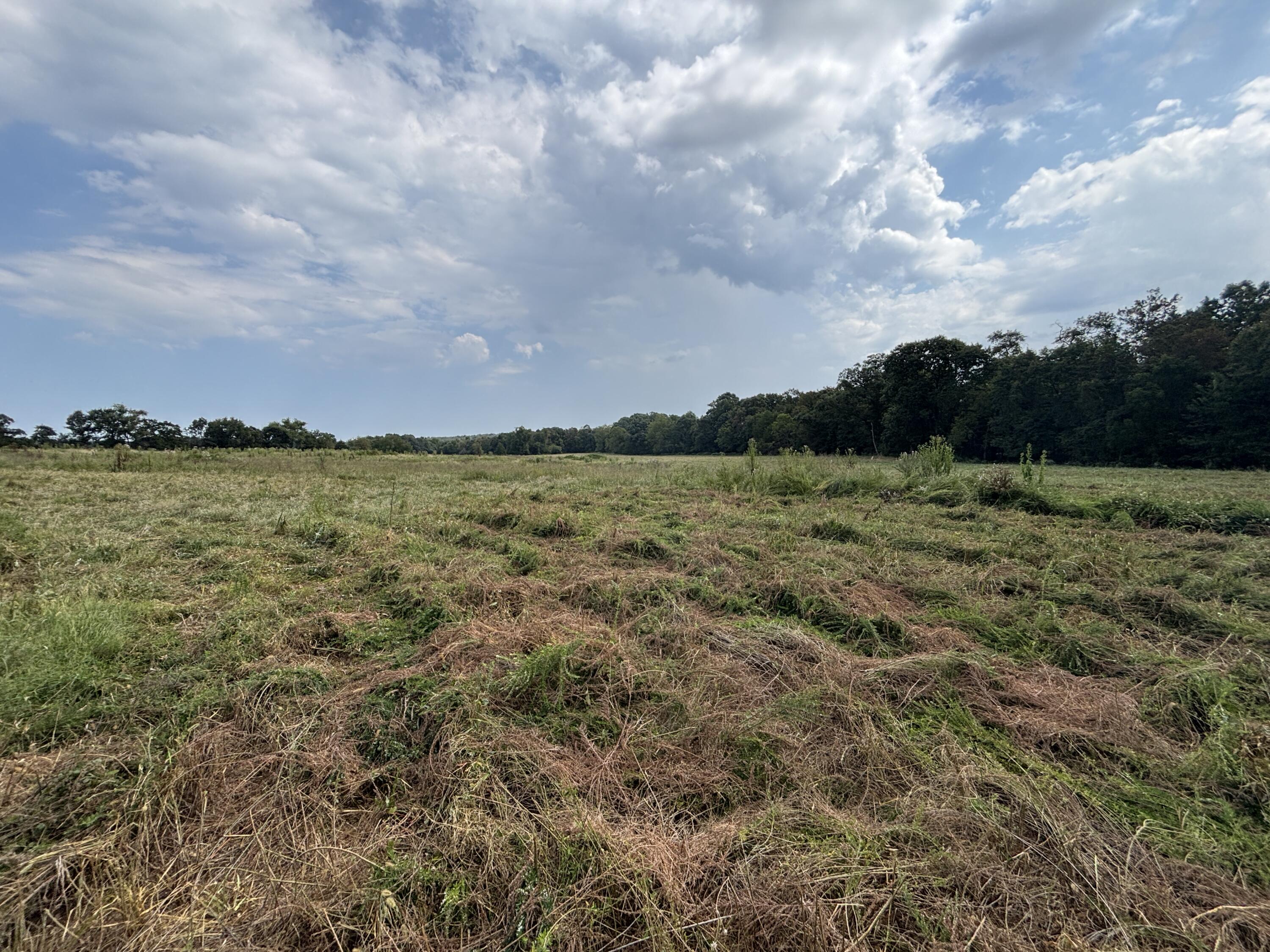 Tbd Co Rd 4040 Property Photo 45