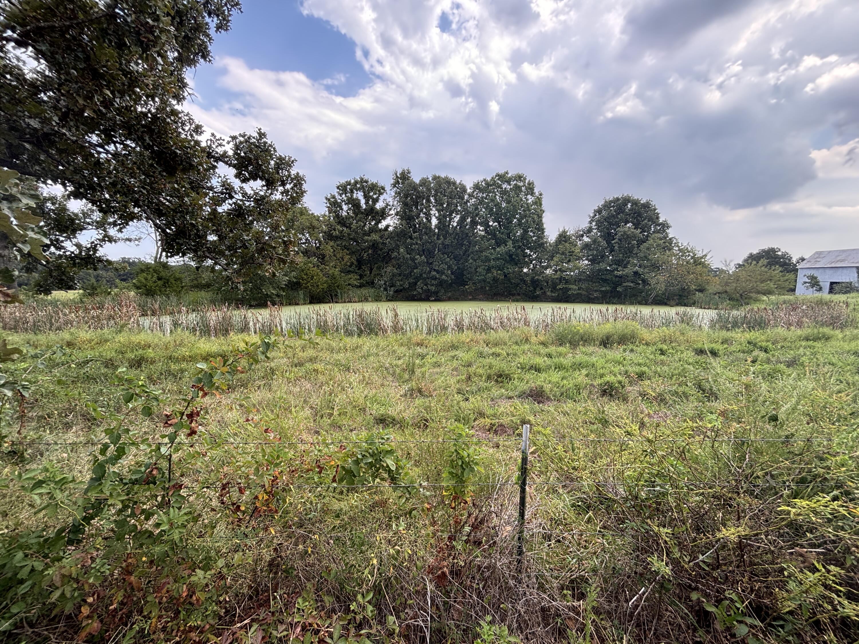 Tbd Co Rd 4040 Property Photo 49