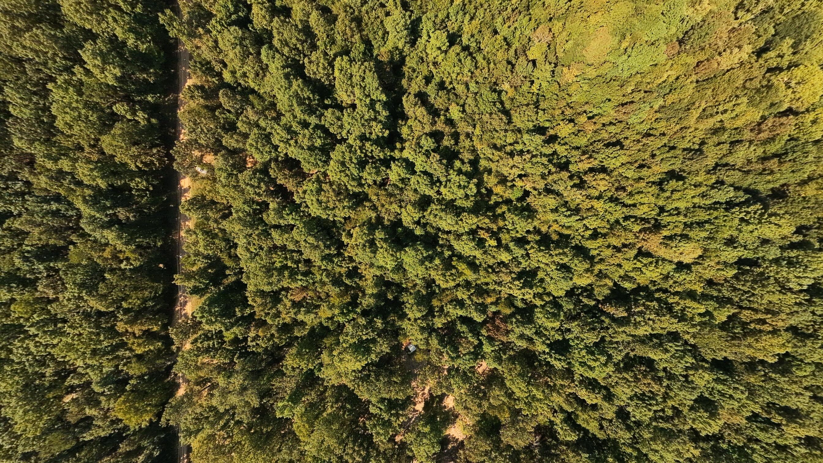 000 East County Road 206 Lot 14 Property Photo 4
