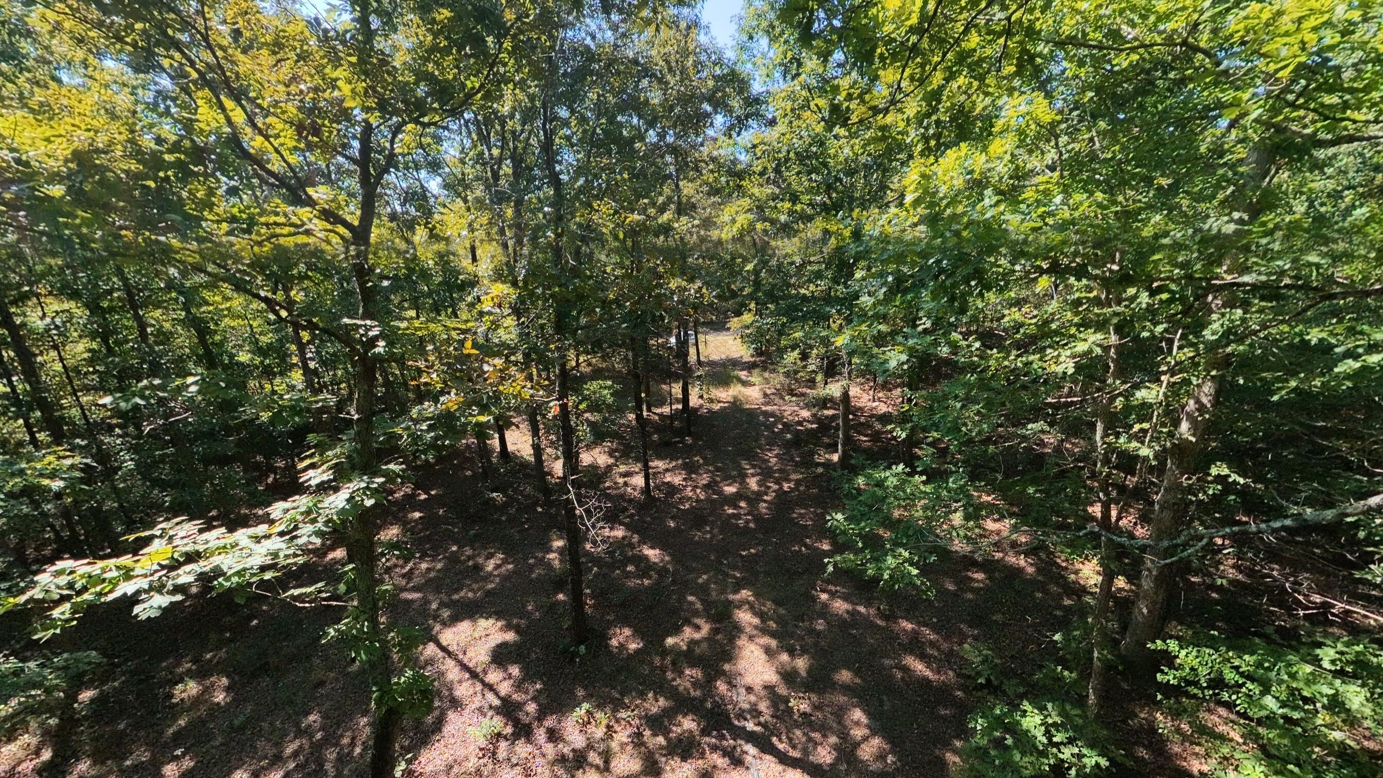 000 East County Road 206 Lot 14 Property Photo 5