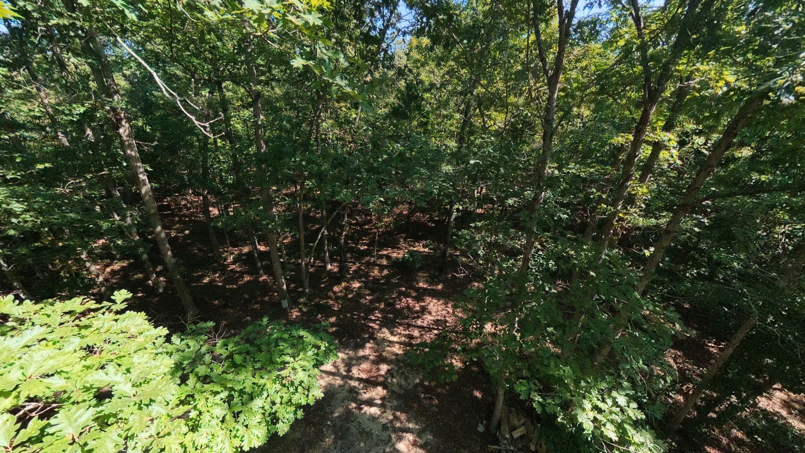 000 East County Road 206 Lot 14 Property Photo 7
