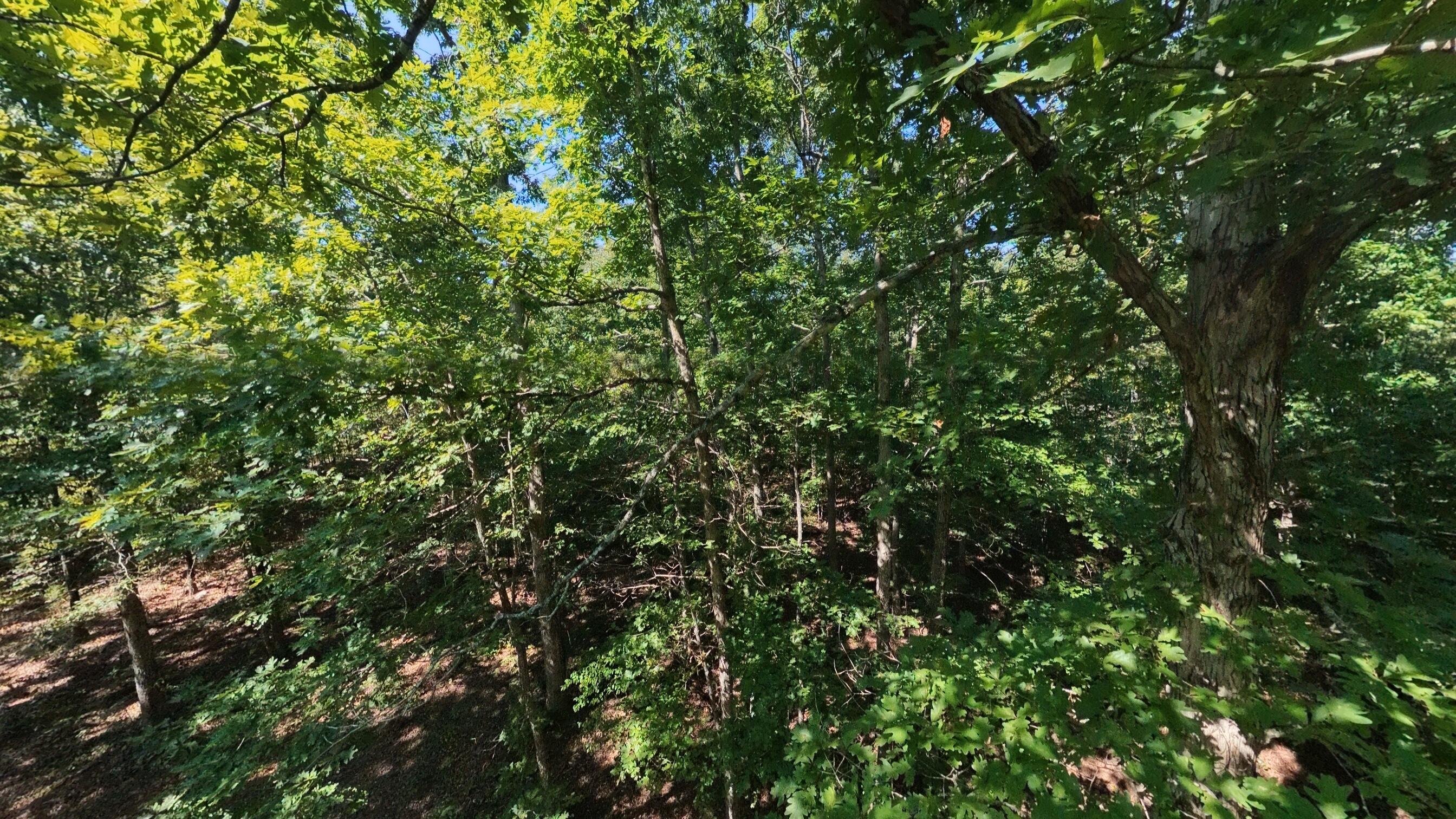 000 East County Road 206 Lot 14 Property Photo 8