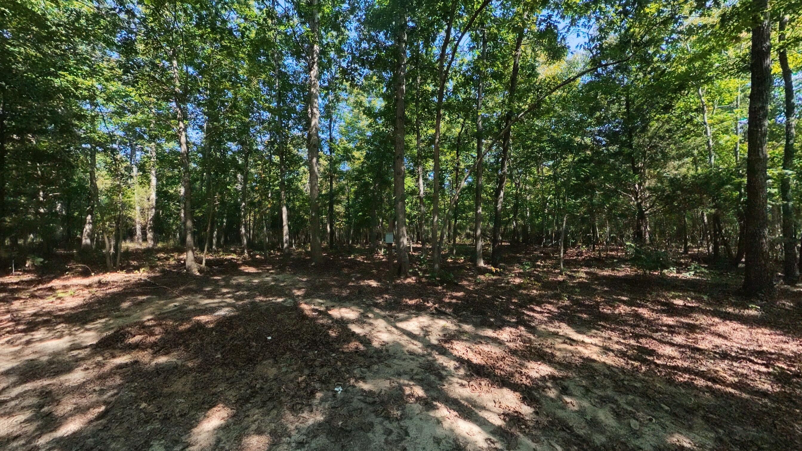 000 East County Road 206 Lot 14 Property Photo 9