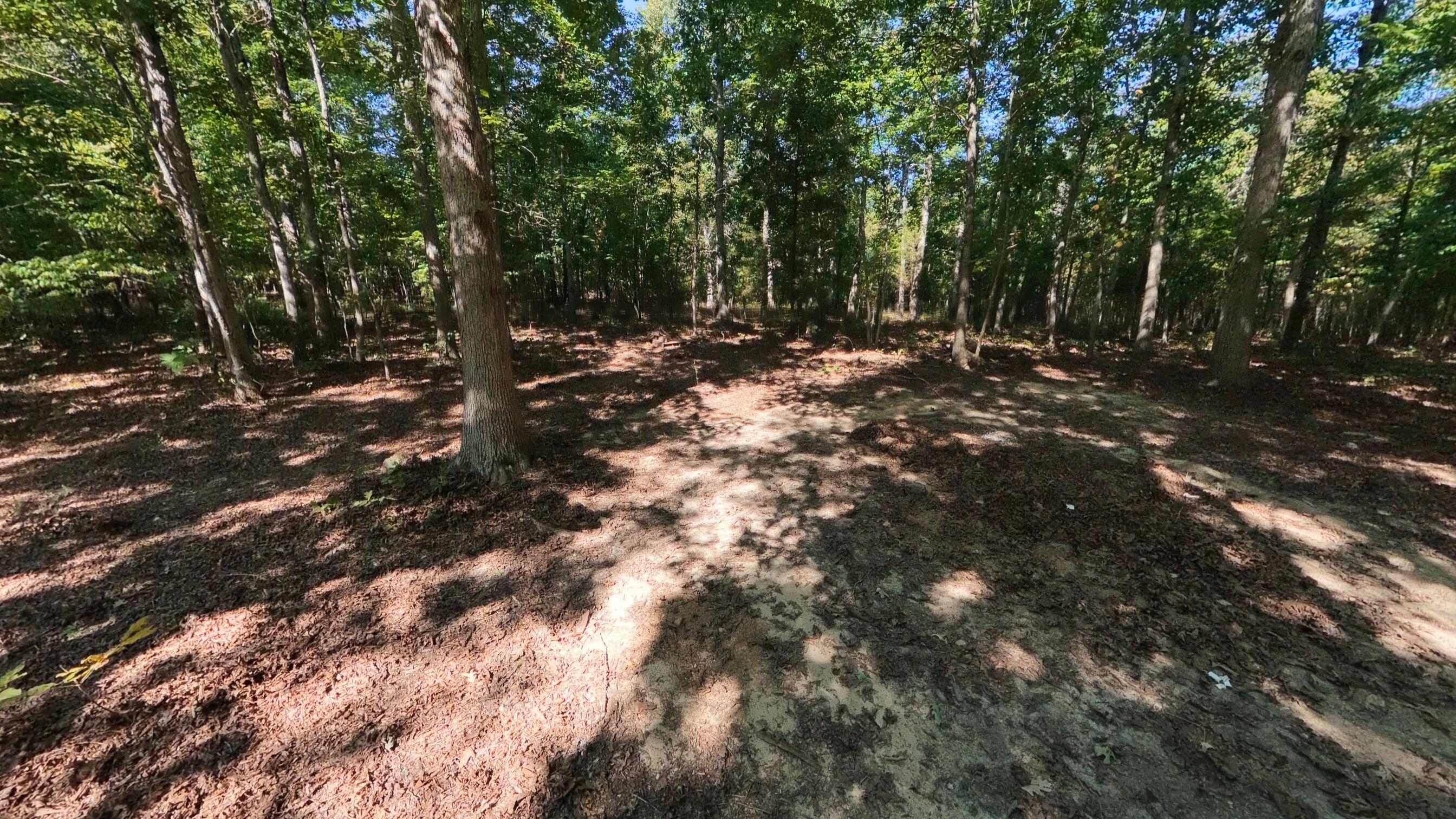000 East County Road 206 Lot 14 Property Photo 11
