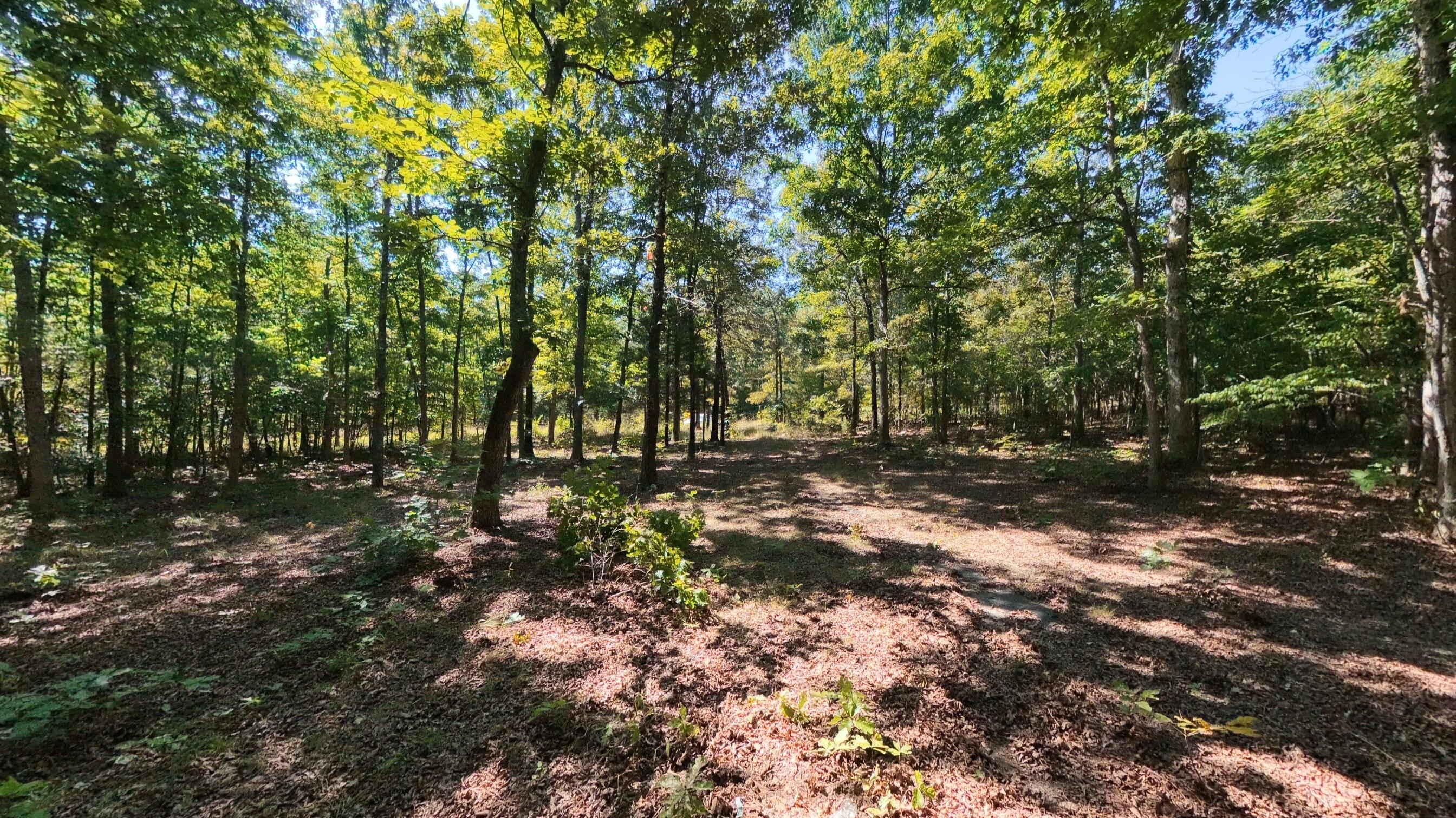000 East County Road 206 Lot 14 Property Photo 12