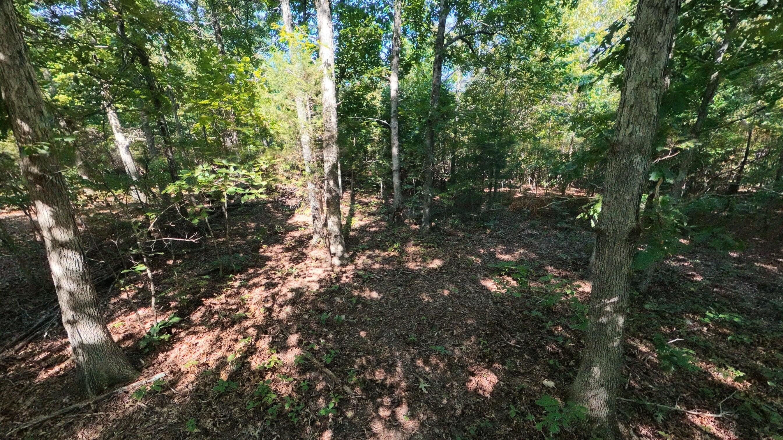 000 East County Road 206 Lot 14 Property Photo 13