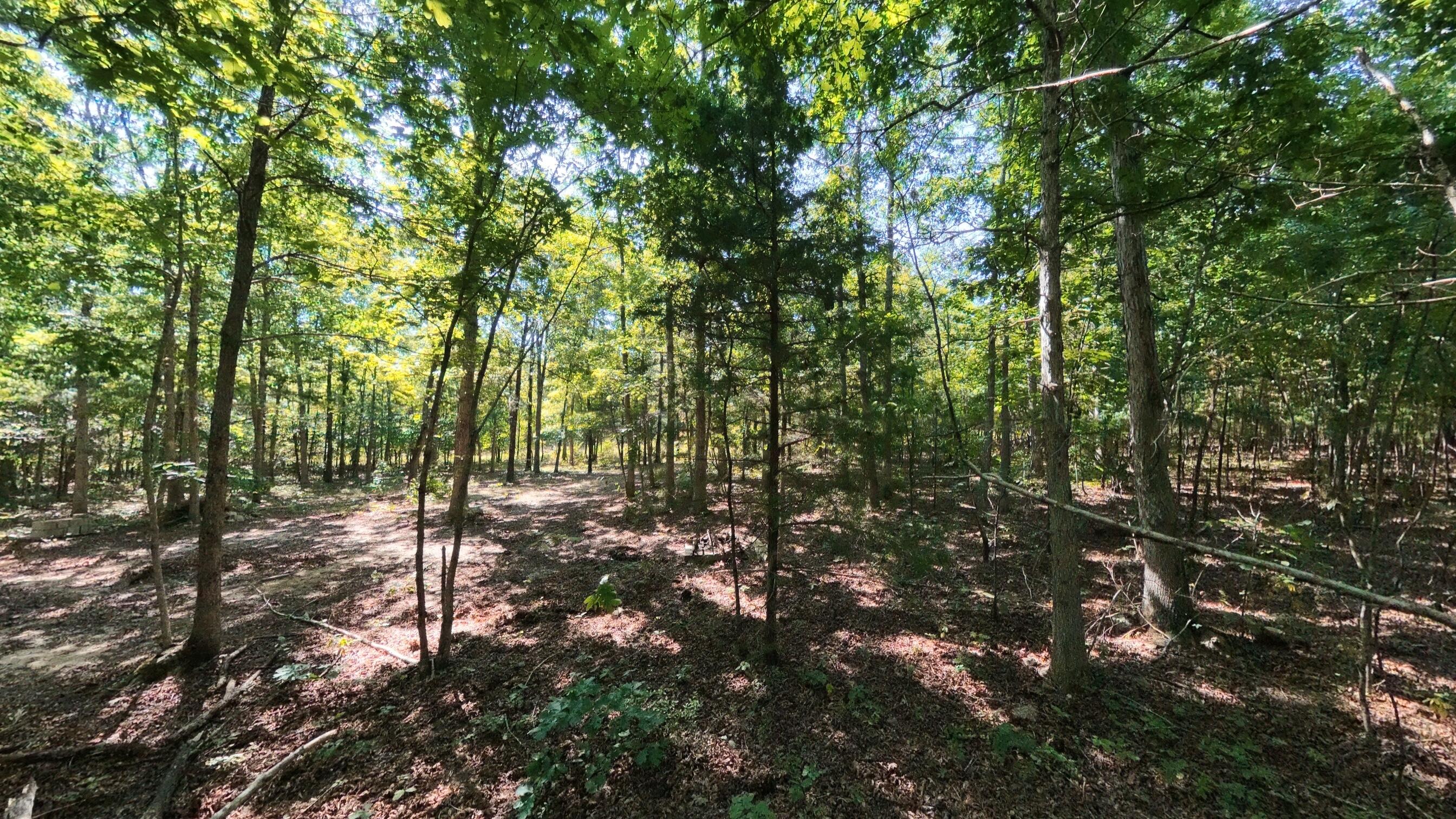 000 East County Road 206 Lot 14 Property Photo 14