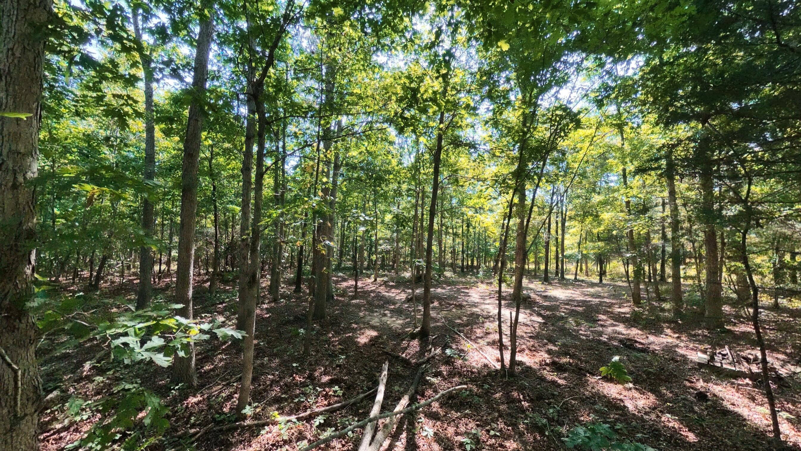 000 East County Road 206 Lot 14 Property Photo 15