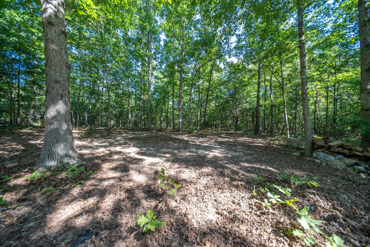 000 East County Road 206 Lot 14 Property Photo 16