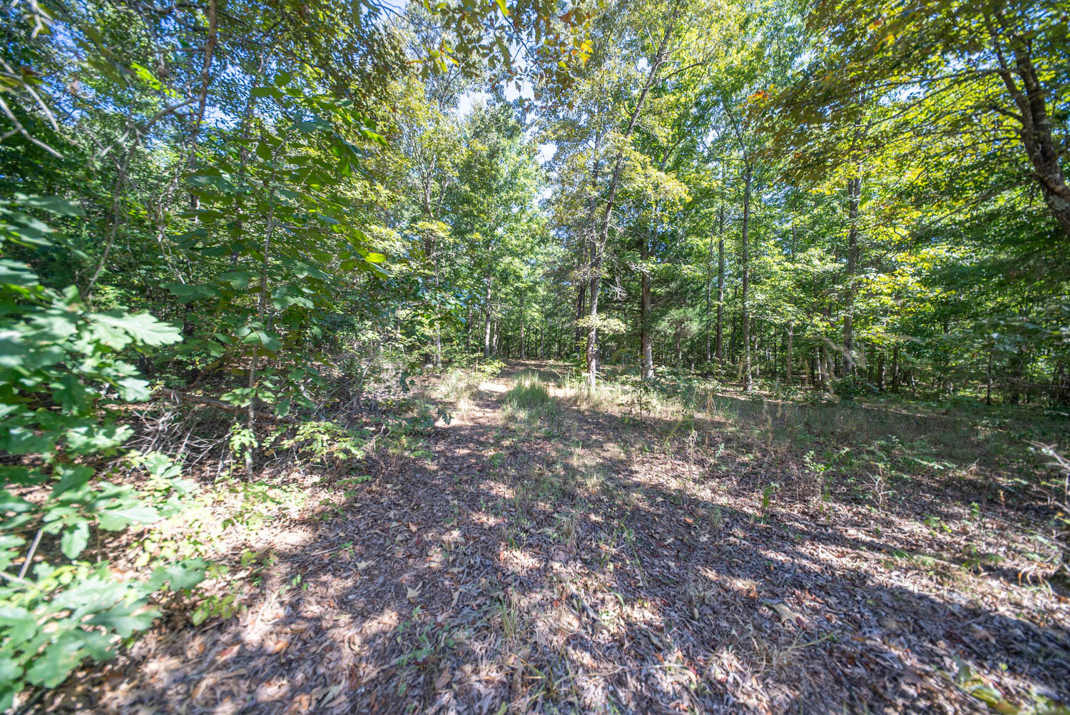 000 East County Road 206 Lot 14 Property Photo 18