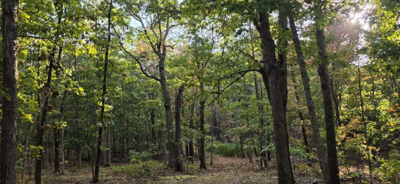3723 Weaver Road Property Photo 9