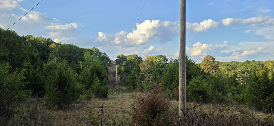 3723 Weaver Road Property Photo 12