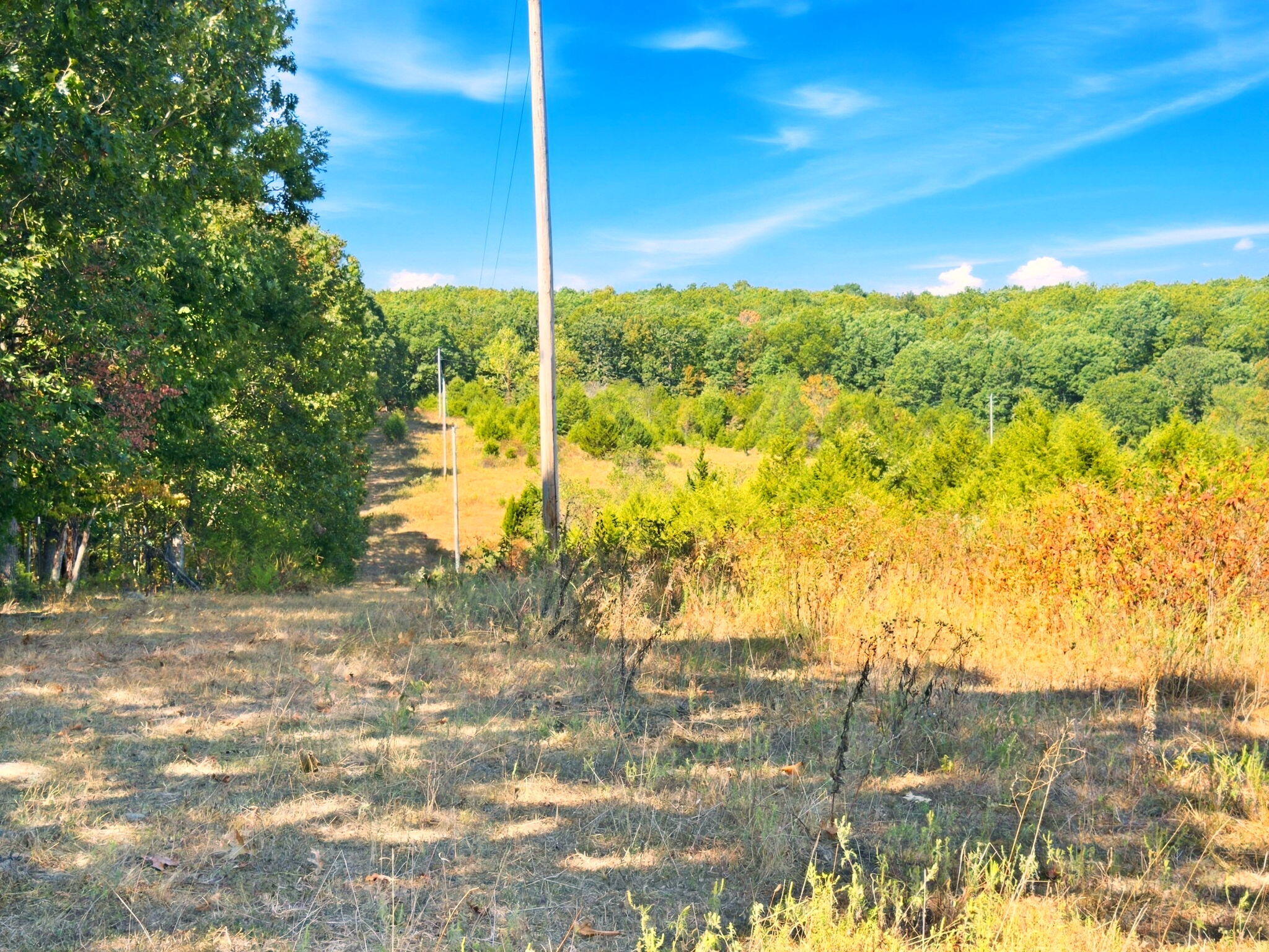 3723 Weaver Road Property Photo 14