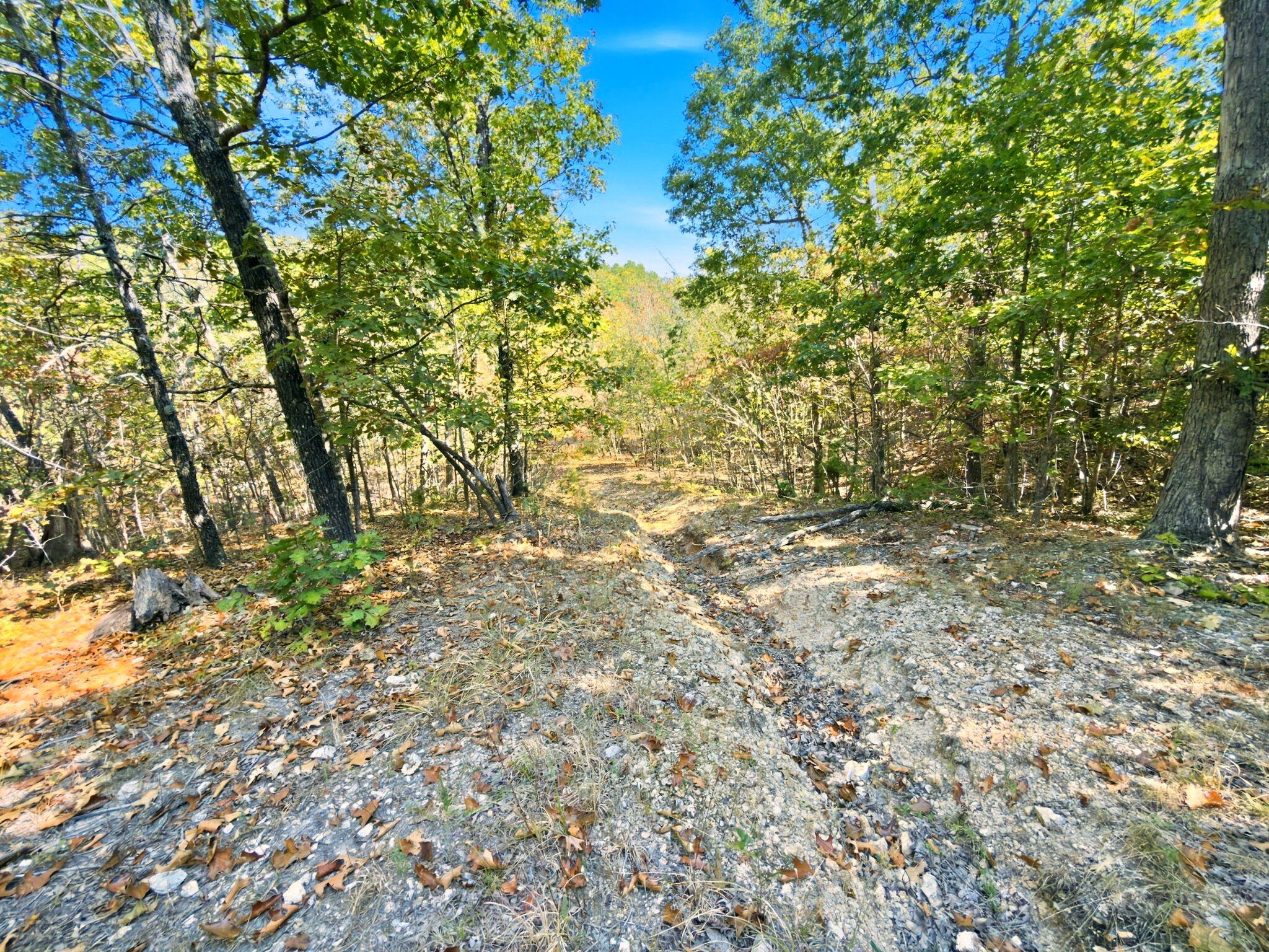3723 Weaver Road Property Photo 15