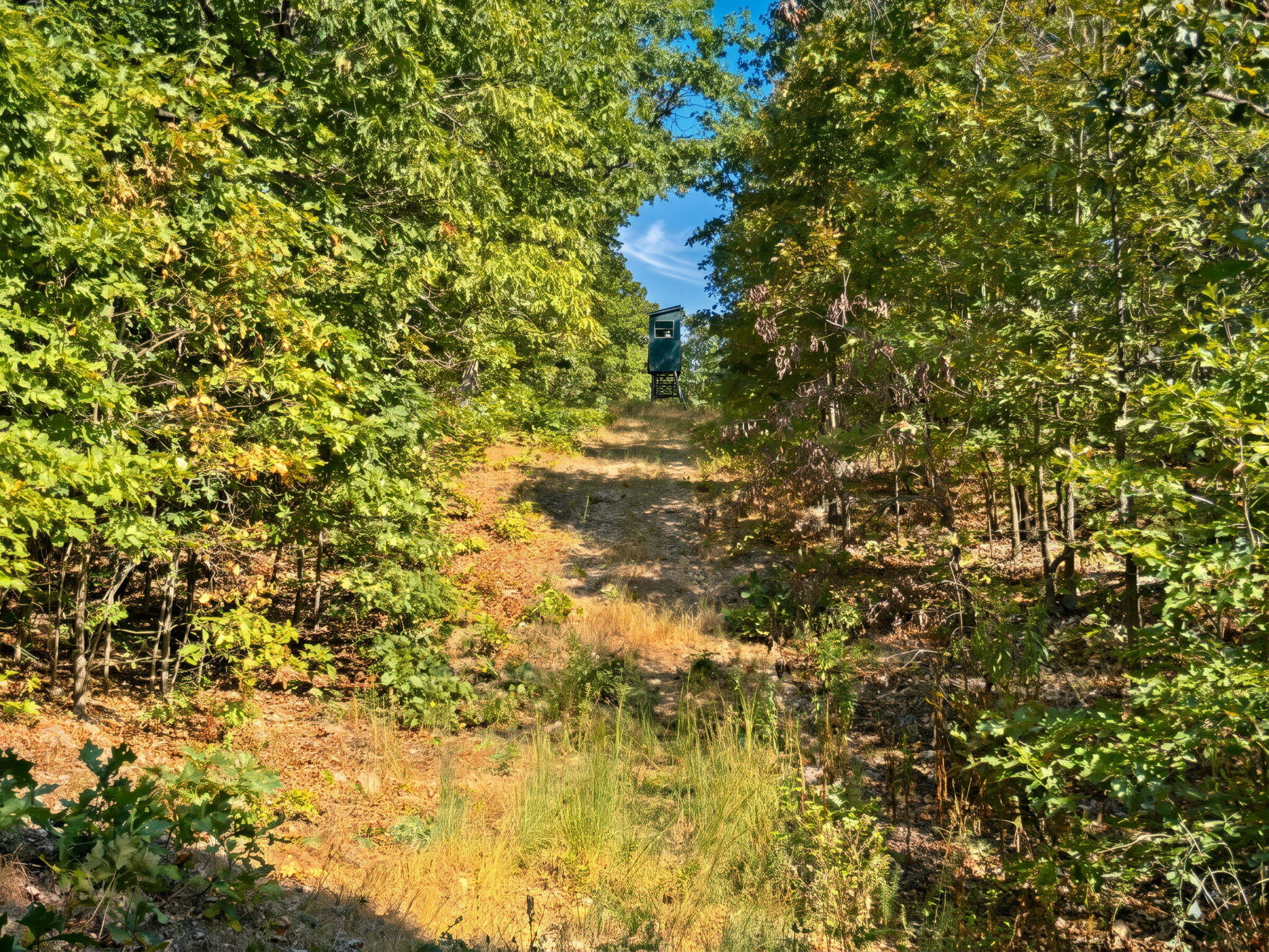 3723 Weaver Road Property Photo 16