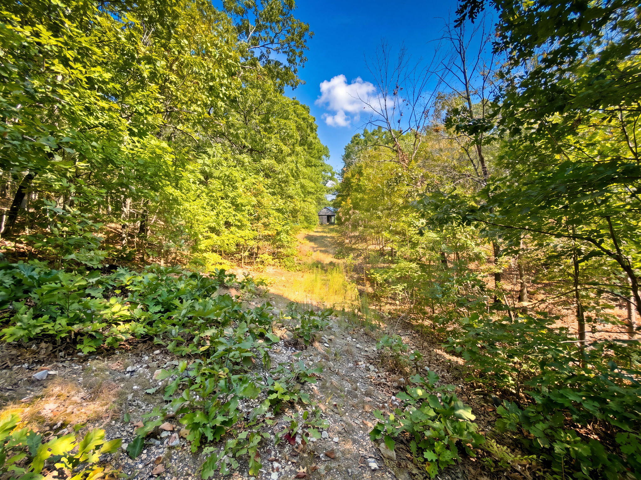 3723 Weaver Road Property Photo 17