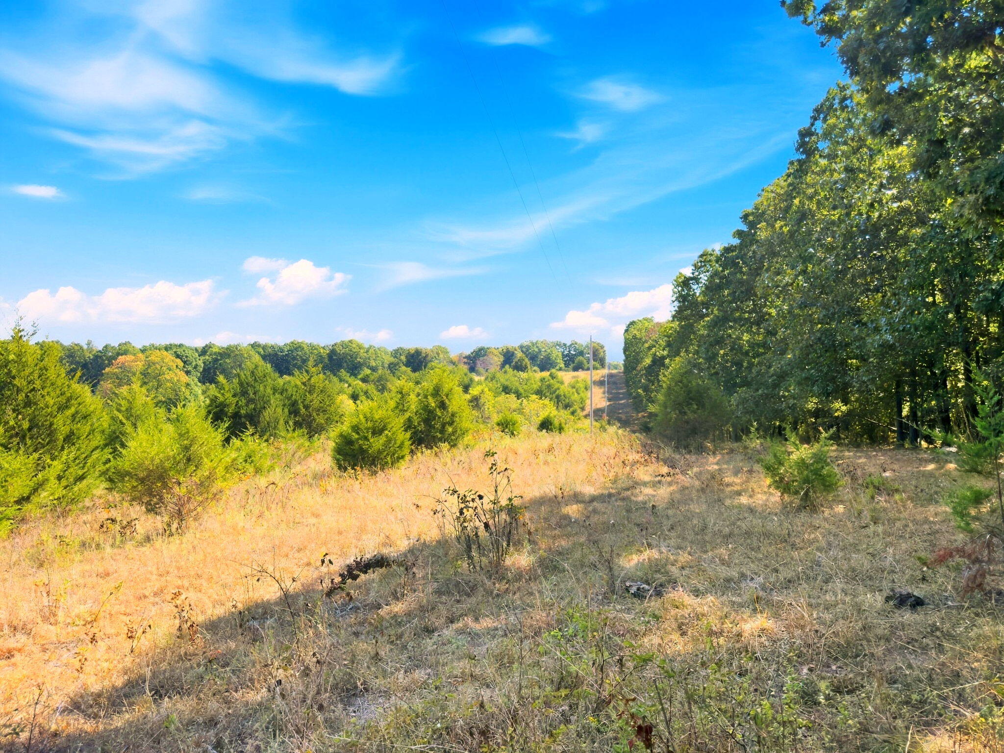 3723 Weaver Road Property Photo 20