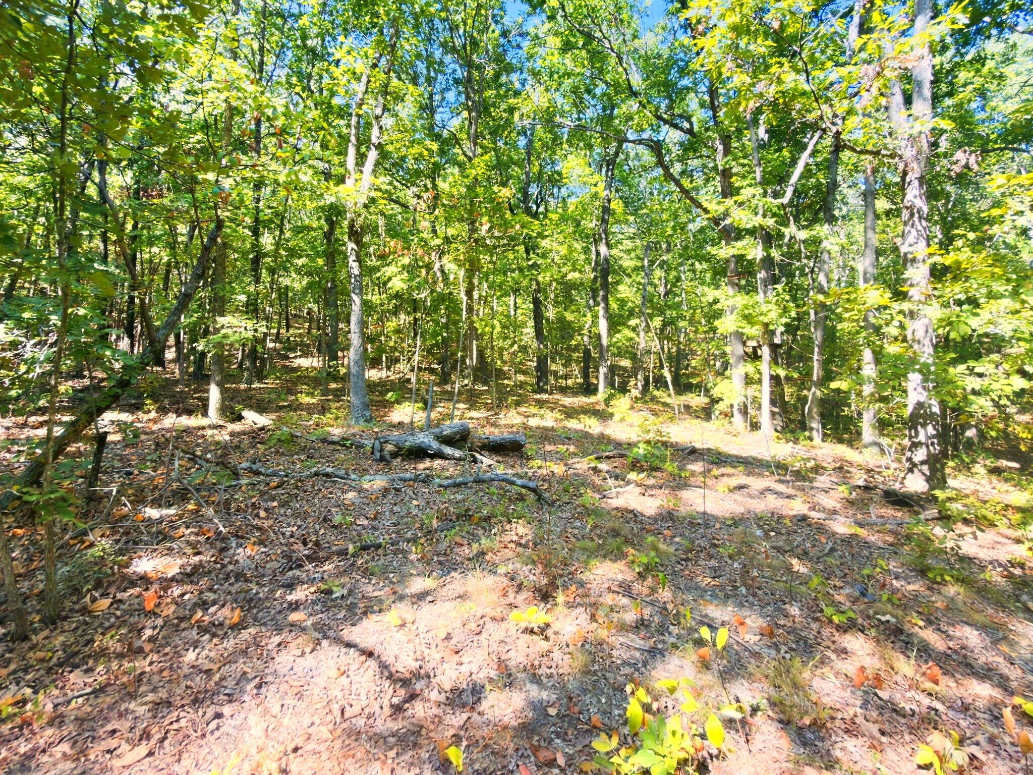 3723 Weaver Road Property Photo 22