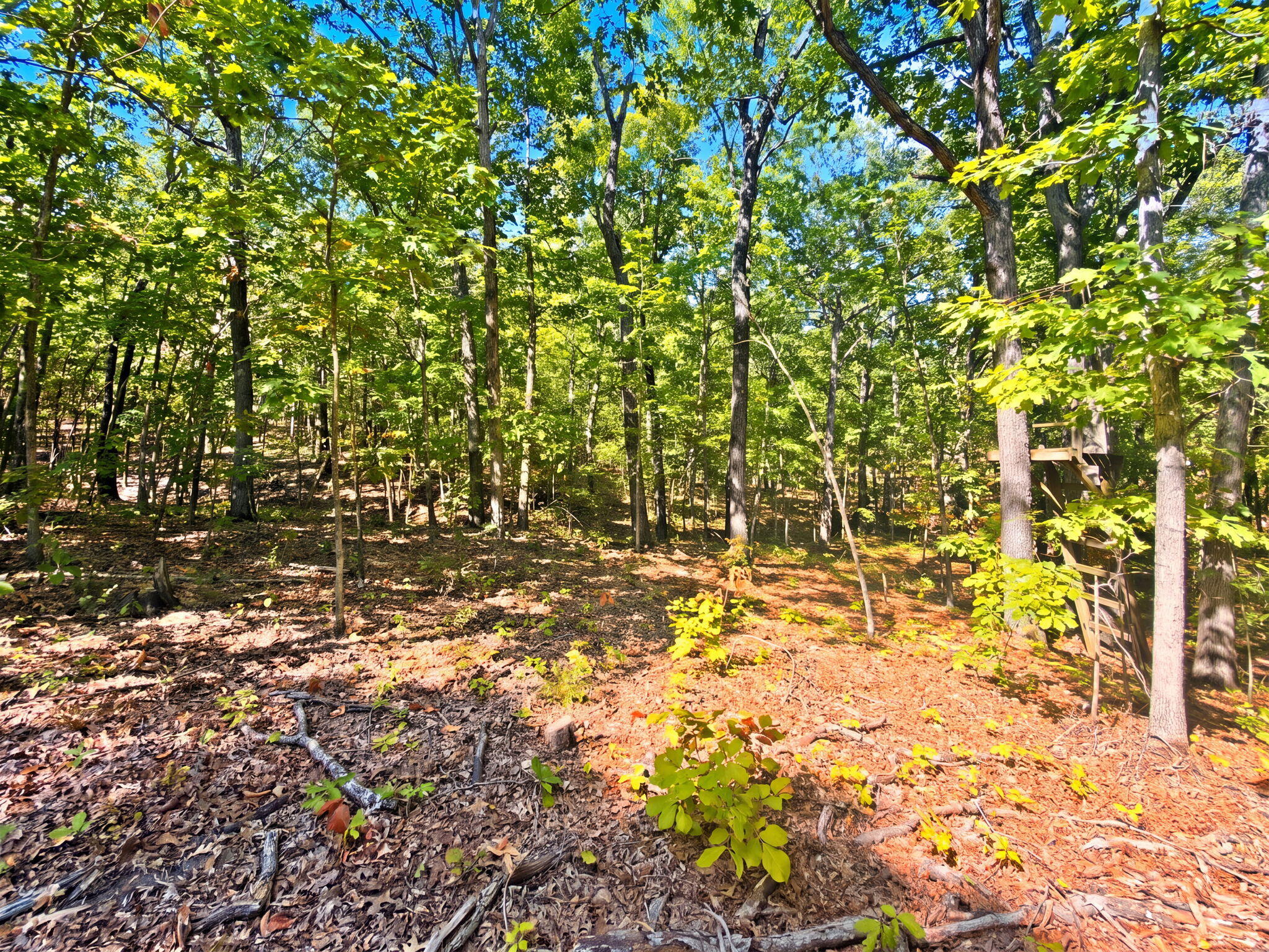 3723 Weaver Road Property Photo 24