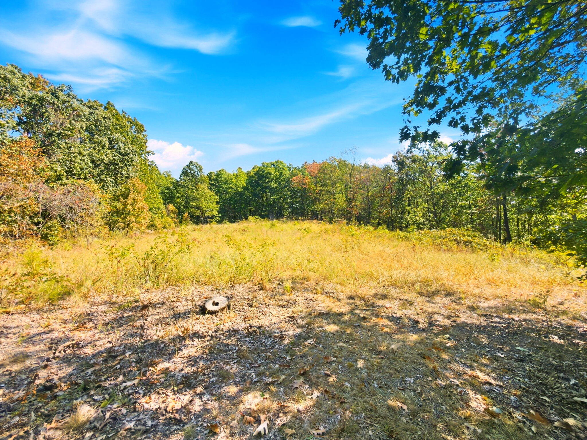 3723 Weaver Road Property Photo 26