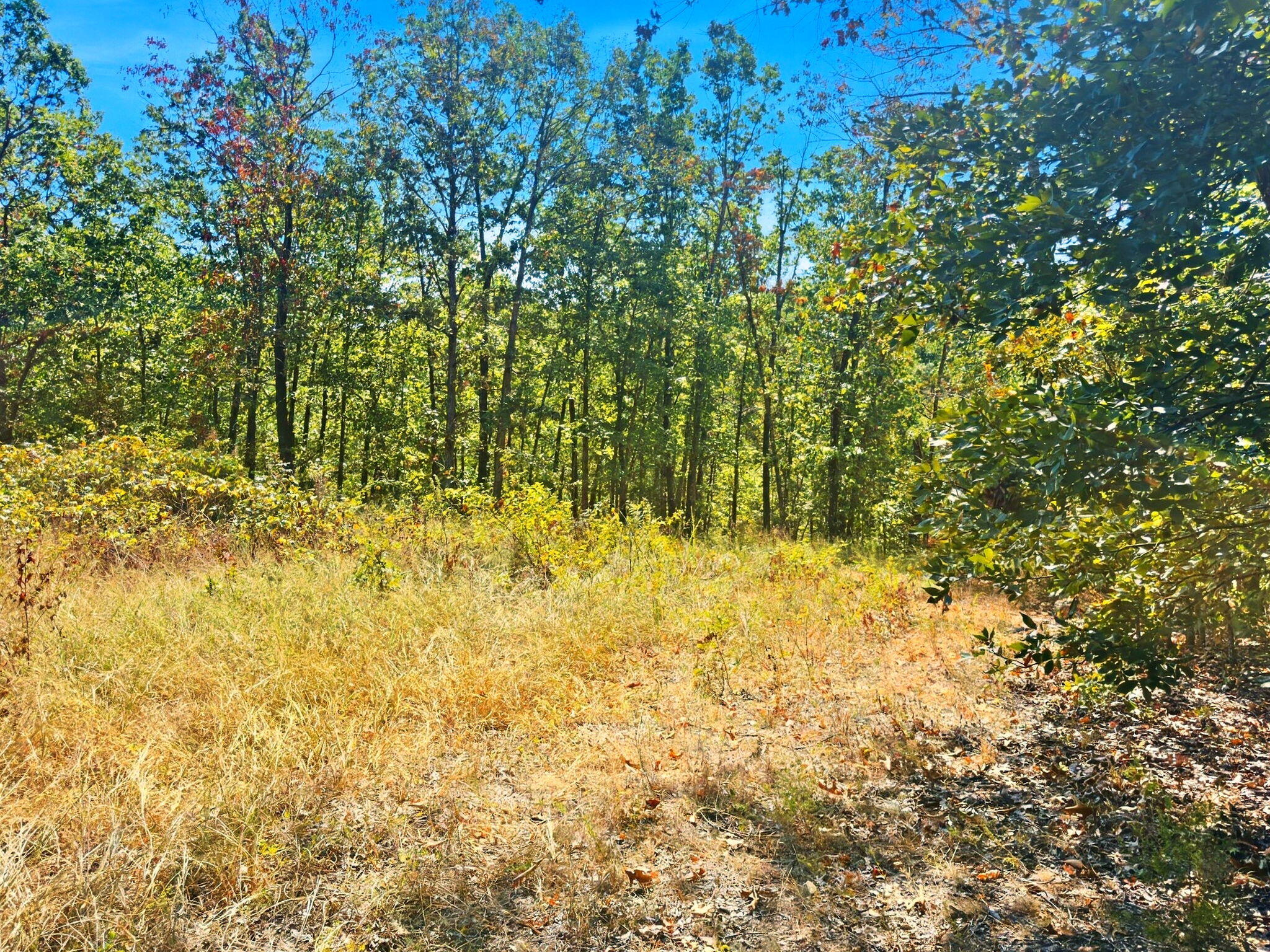 3723 Weaver Road Property Photo 27