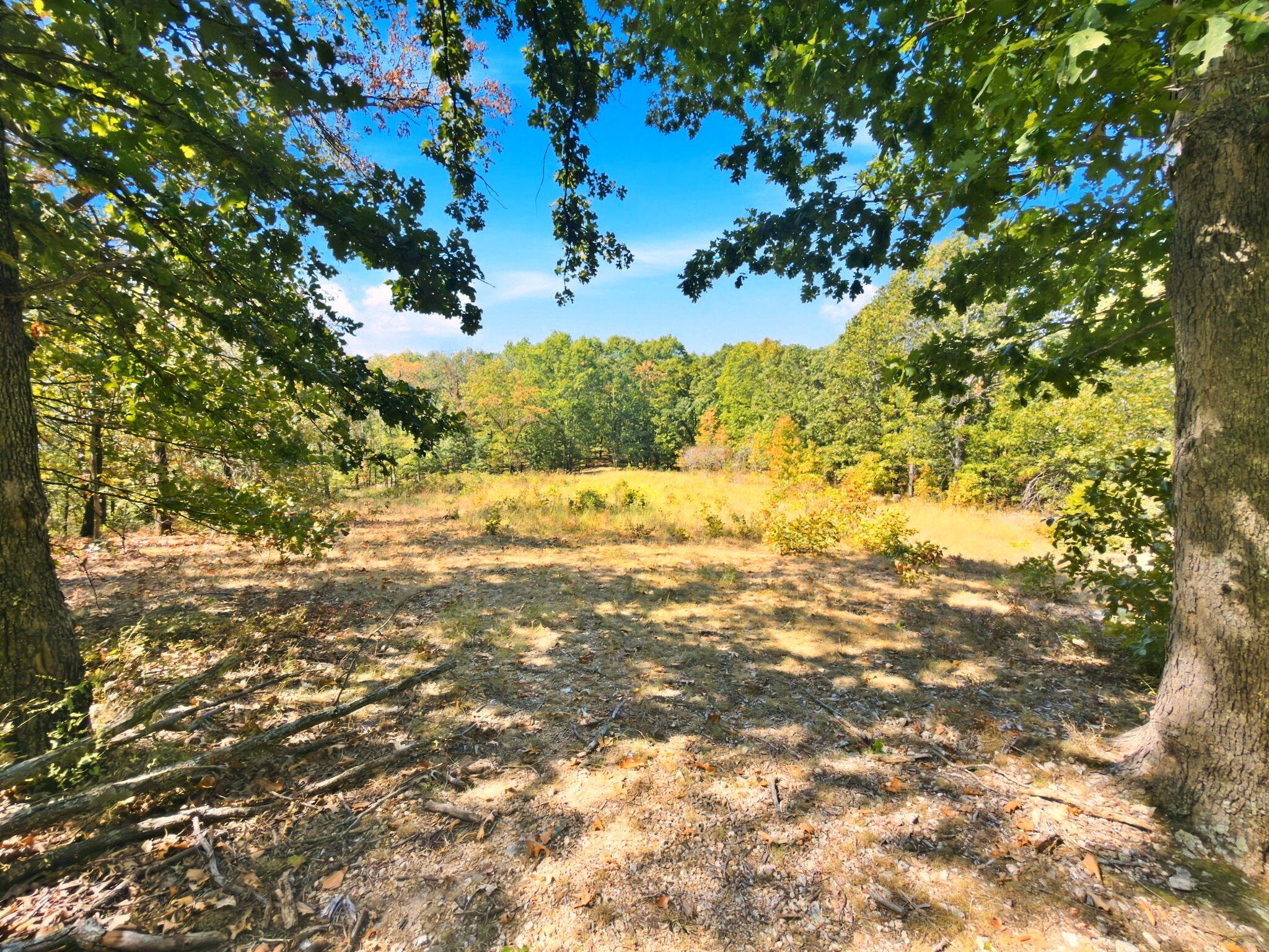 3723 Weaver Road Property Photo 29