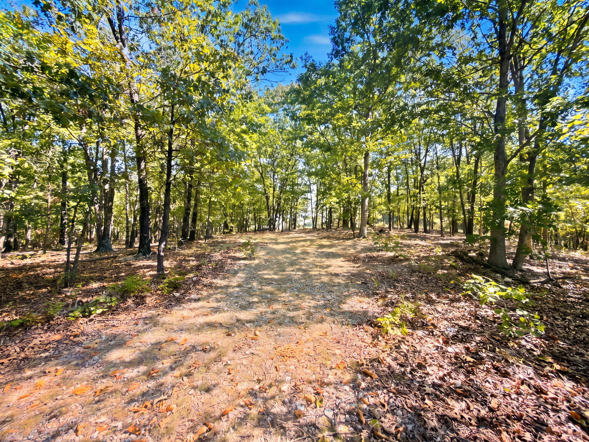 3723 Weaver Road Property Photo 30