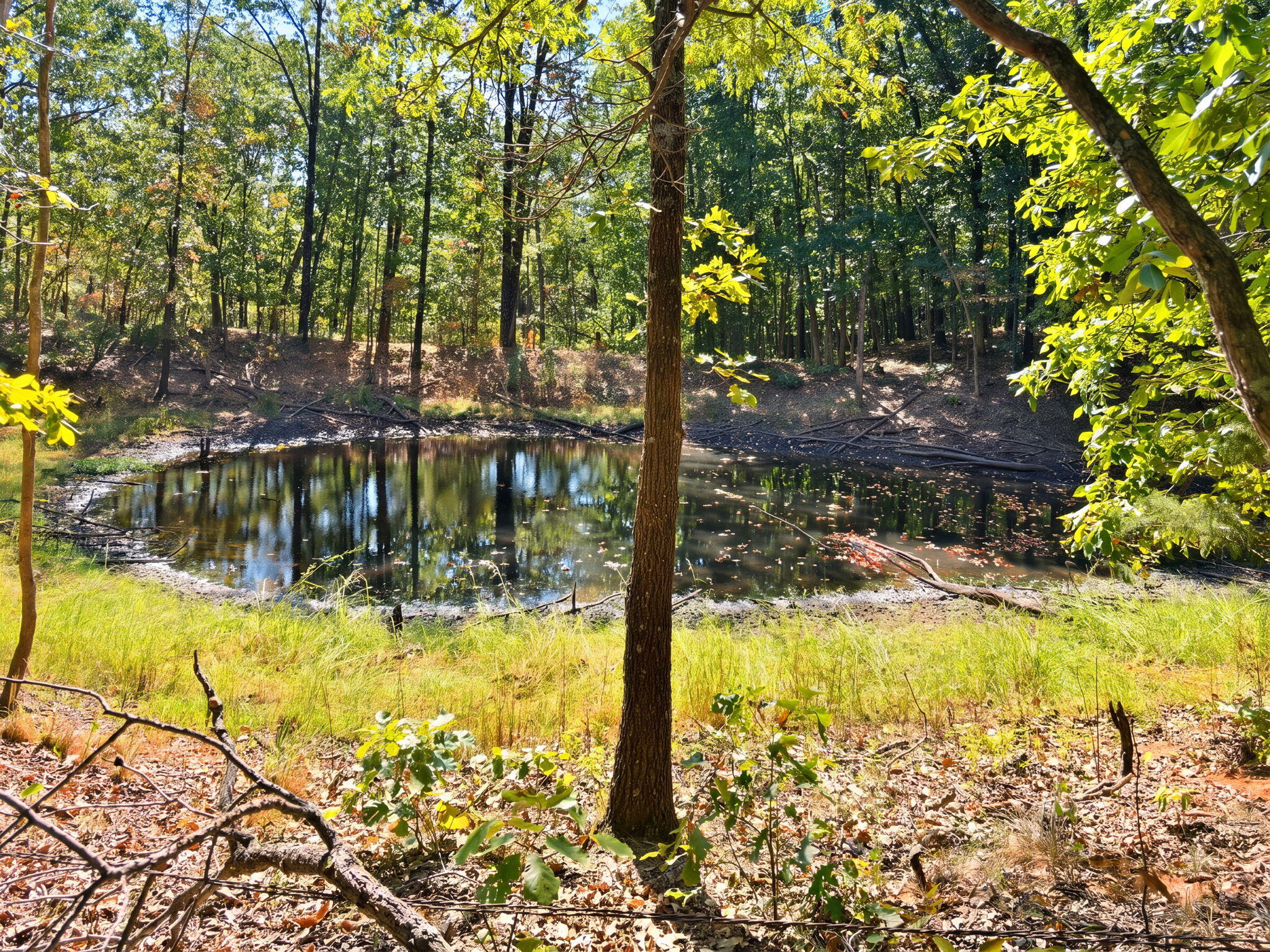3723 Weaver Road Property Photo 35