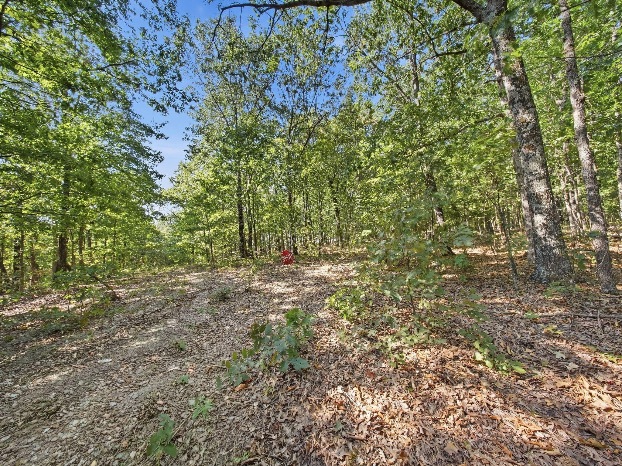 3723 Weaver Road Property Photo 36