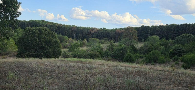 3723 Weaver Road Property Photo 39