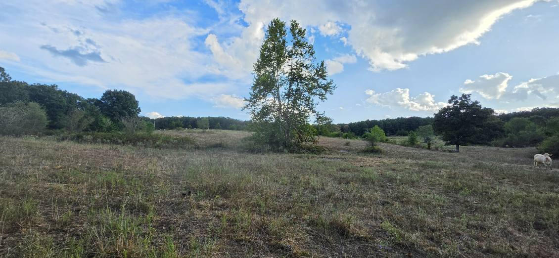 3723 Weaver Road Property Photo 40