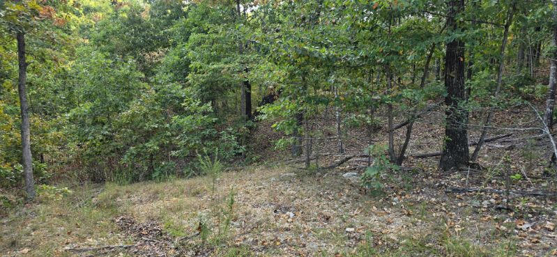 3723 Weaver Road Property Photo 47