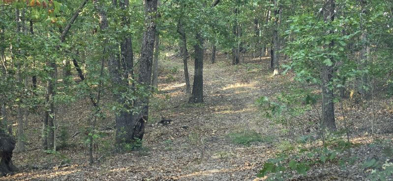 3723 Weaver Road Property Photo 48