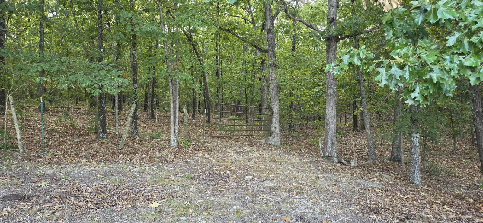 3723 Weaver Road Property Photo 50