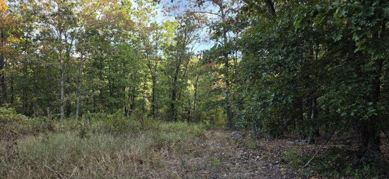 3723 Weaver Road Property Photo 51