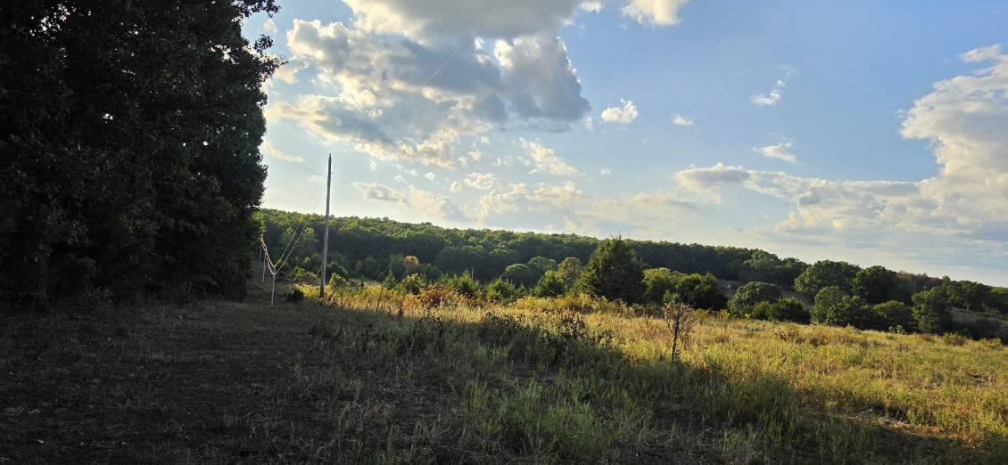 3723 Weaver Road Property Photo 53